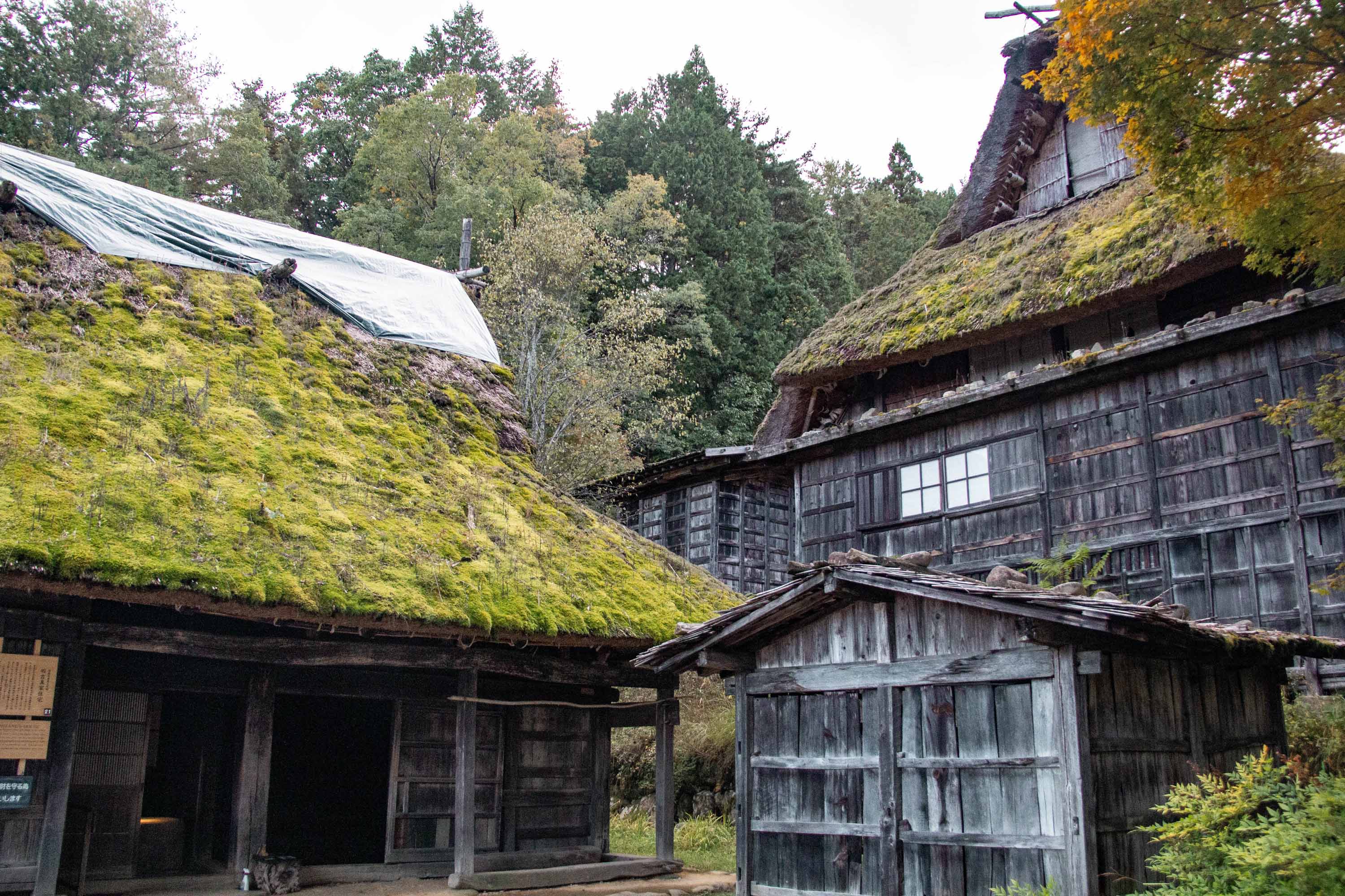 Description —— 2023