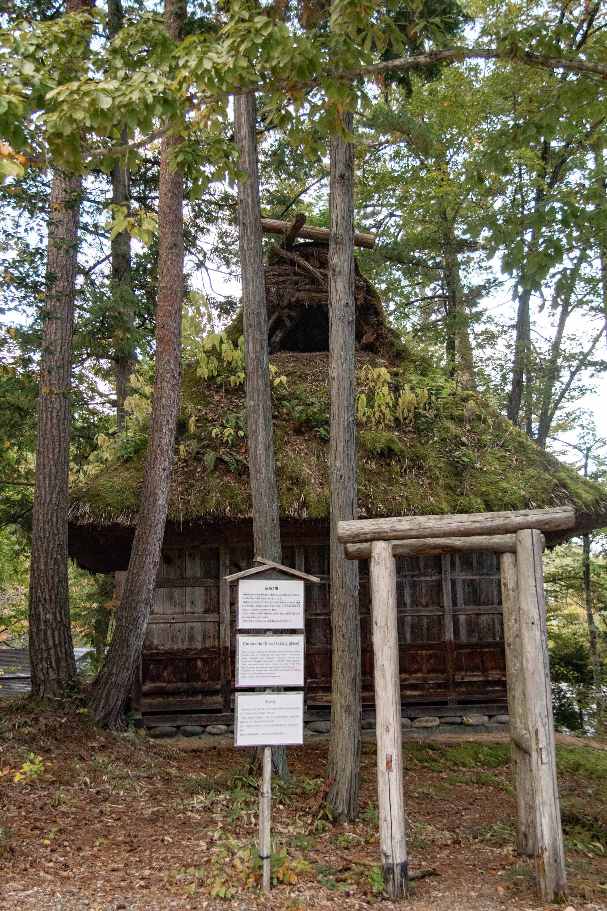 Description —— 2023