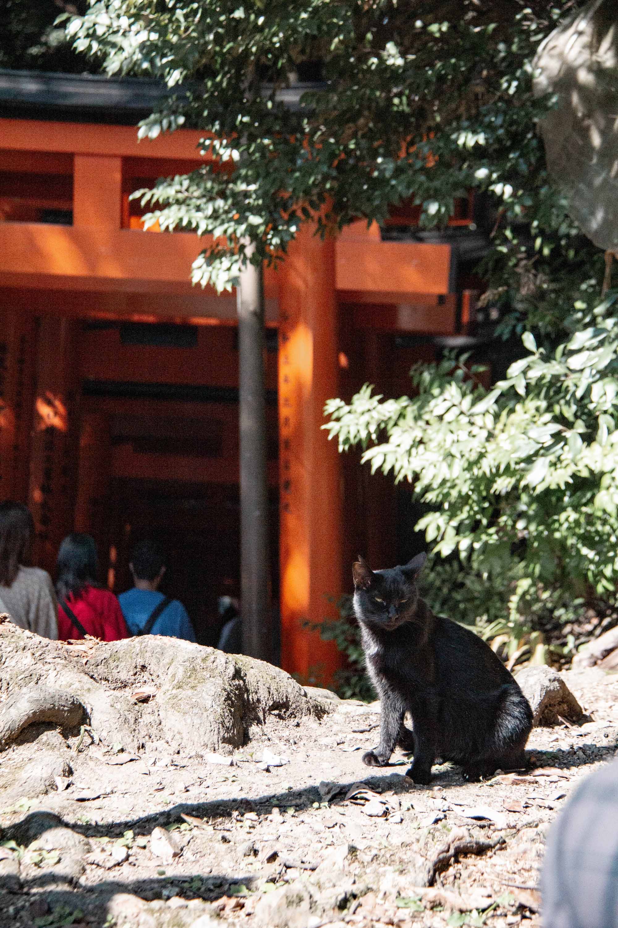 Description —— 2023