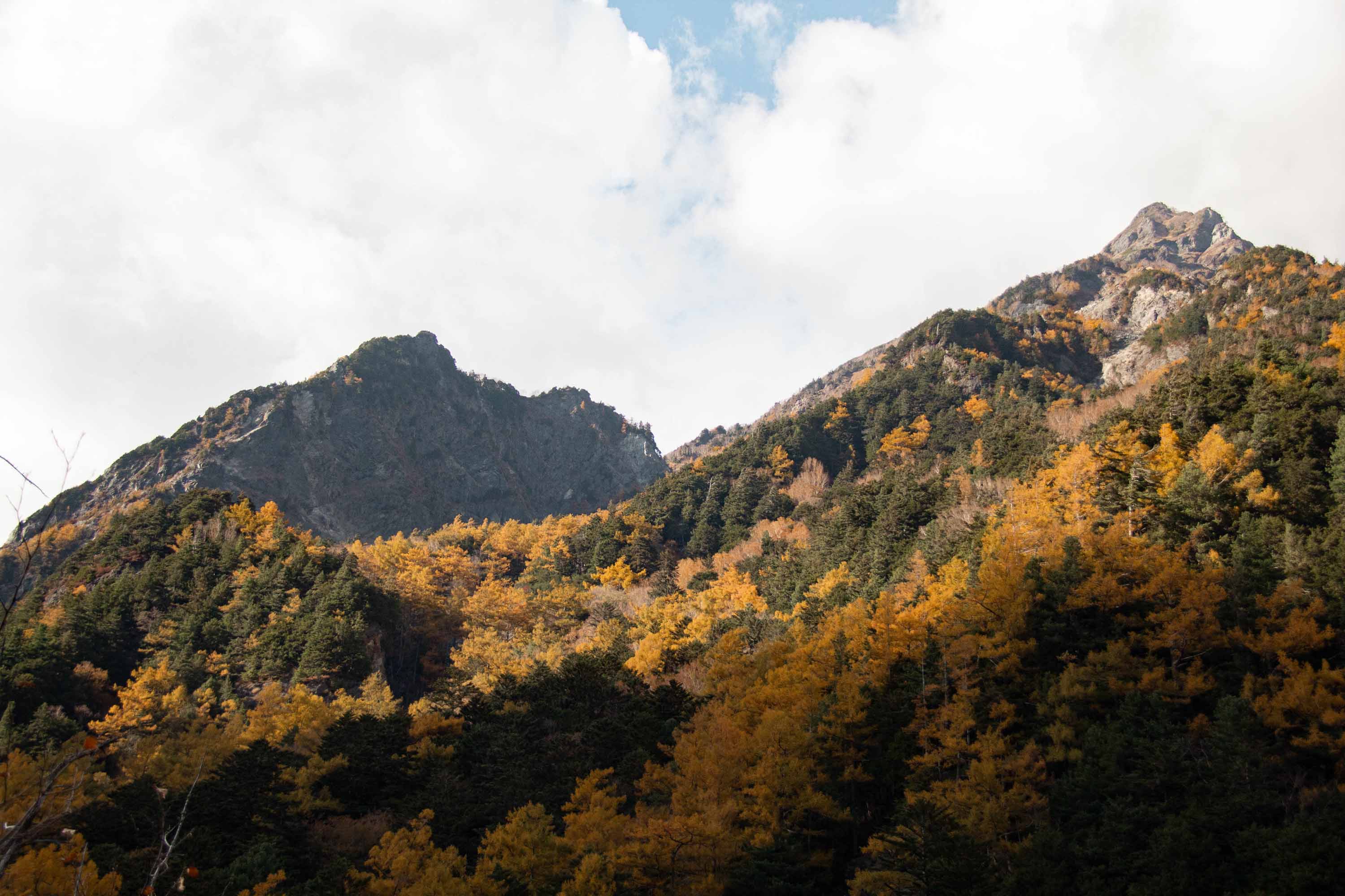 Description —— 2023