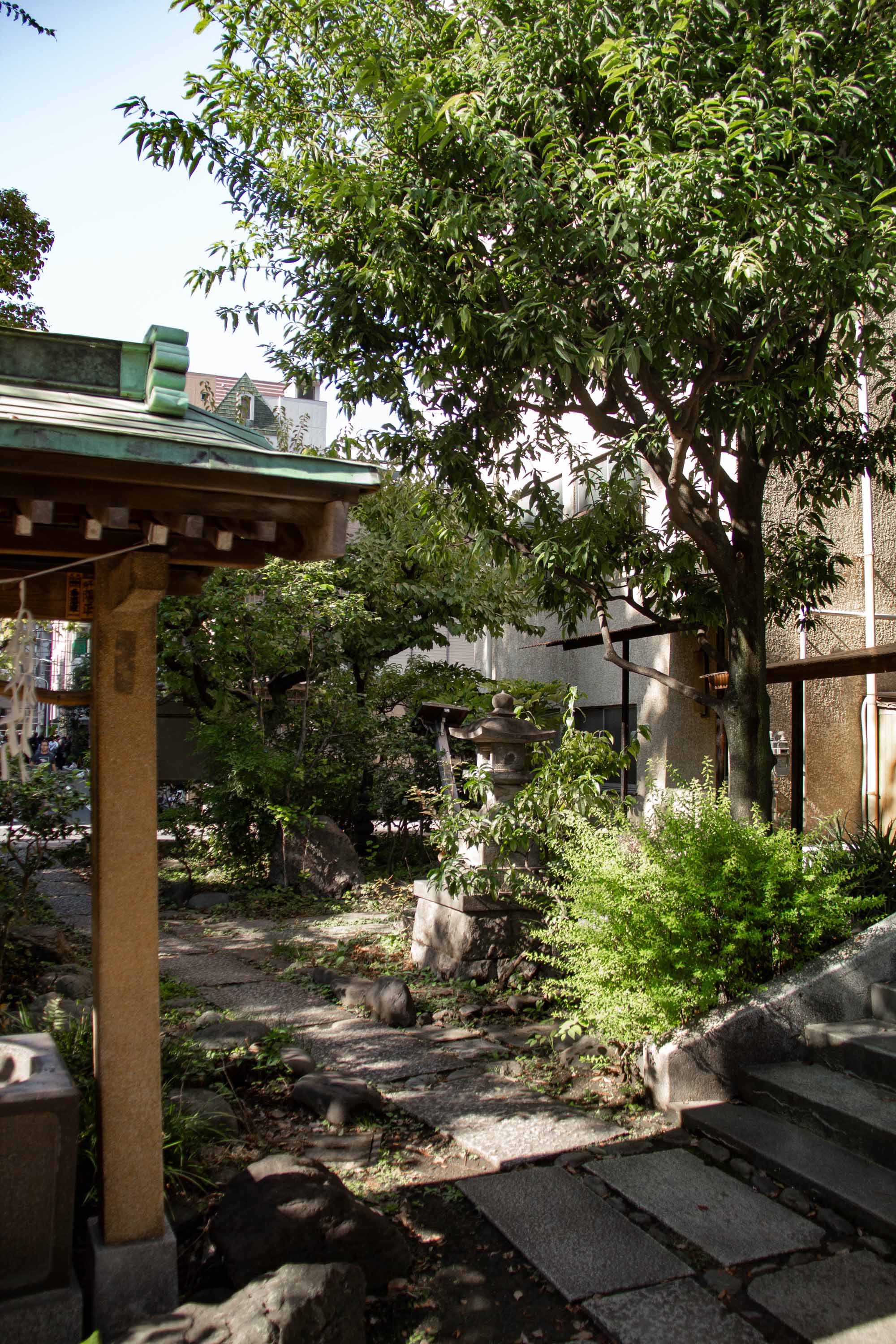 Hamacho Park —— 2023