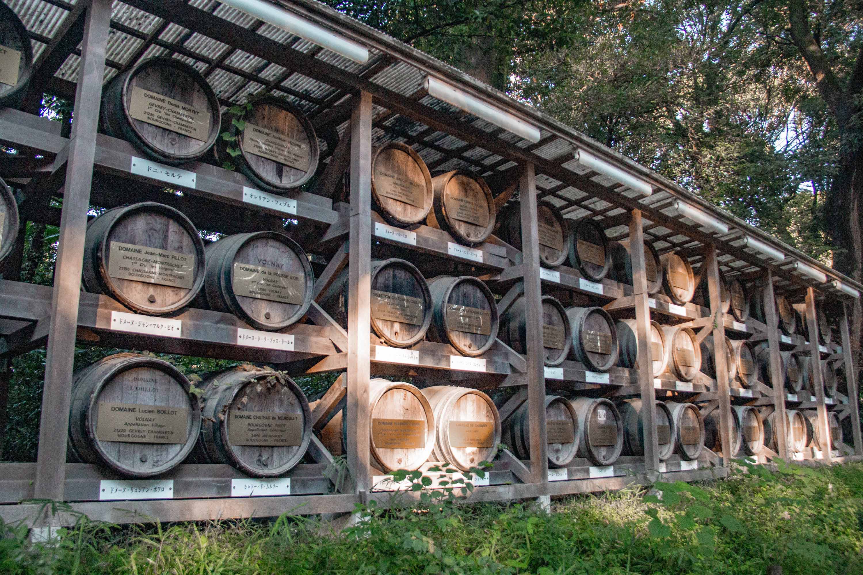 Description —— 2023