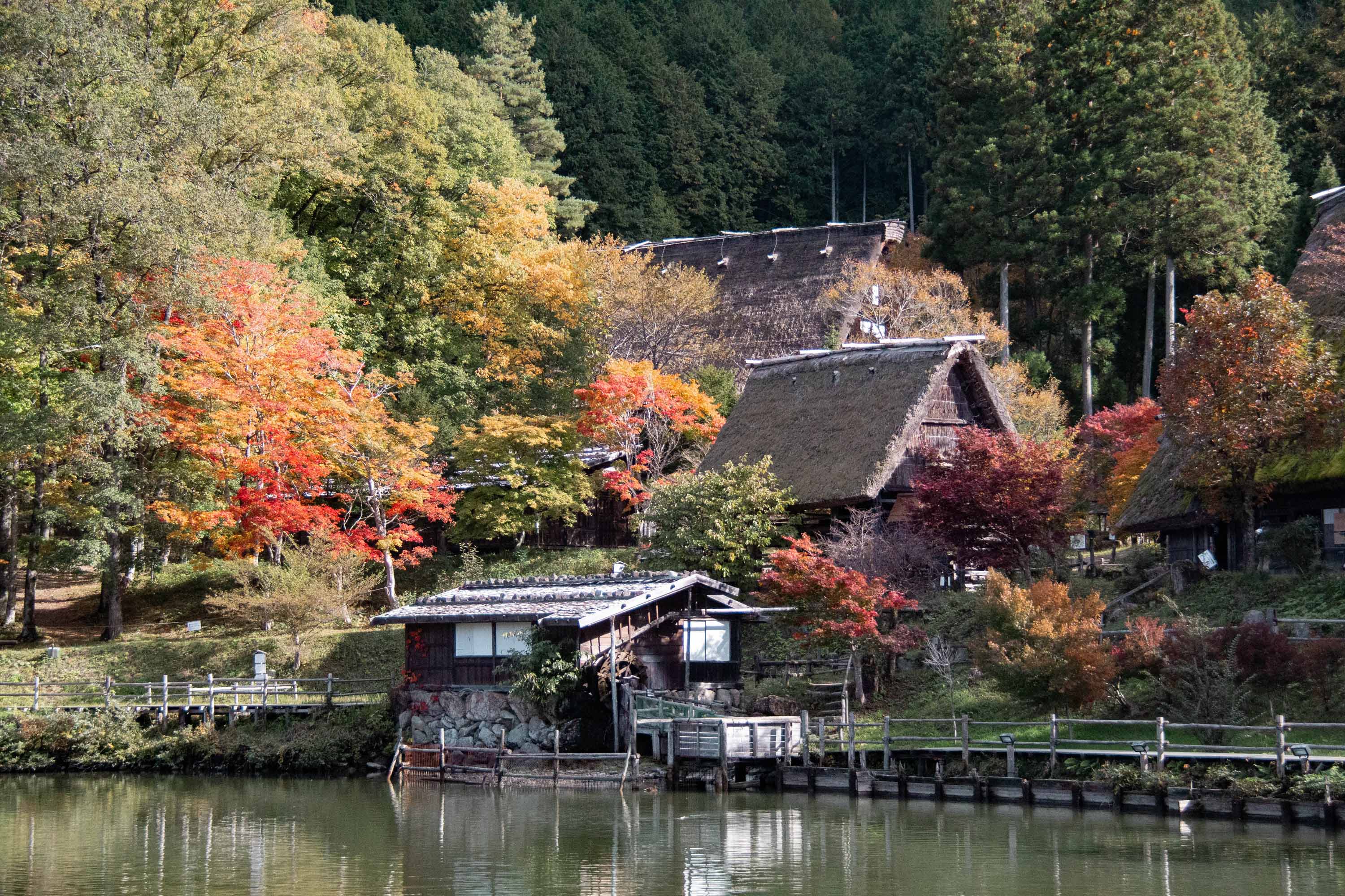 Description —— 2023