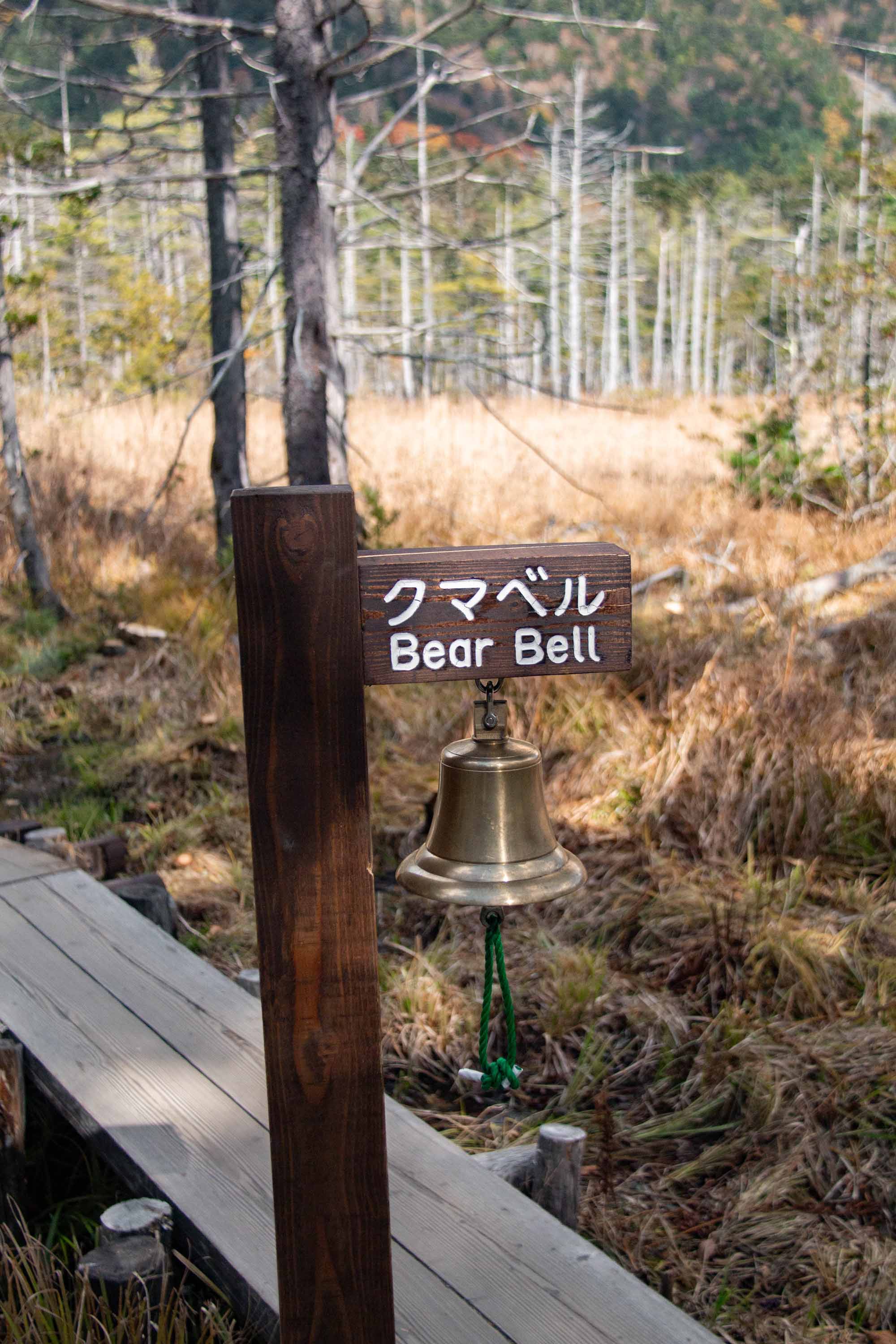 Description —— 2023