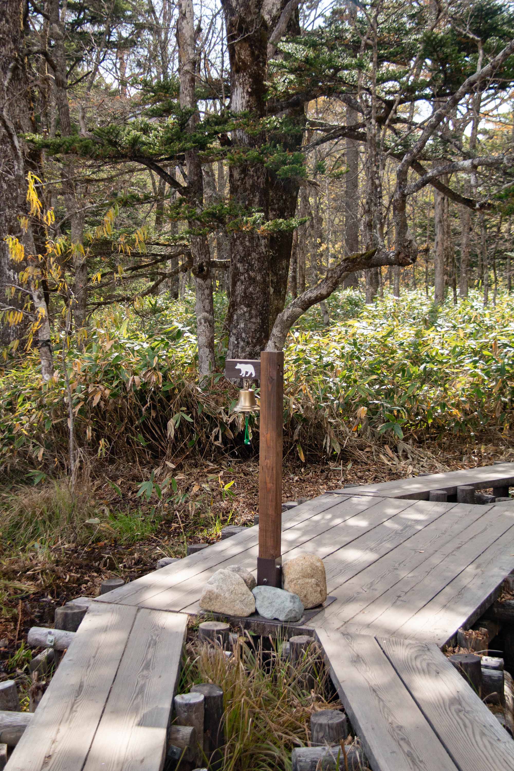 Description —— 2023