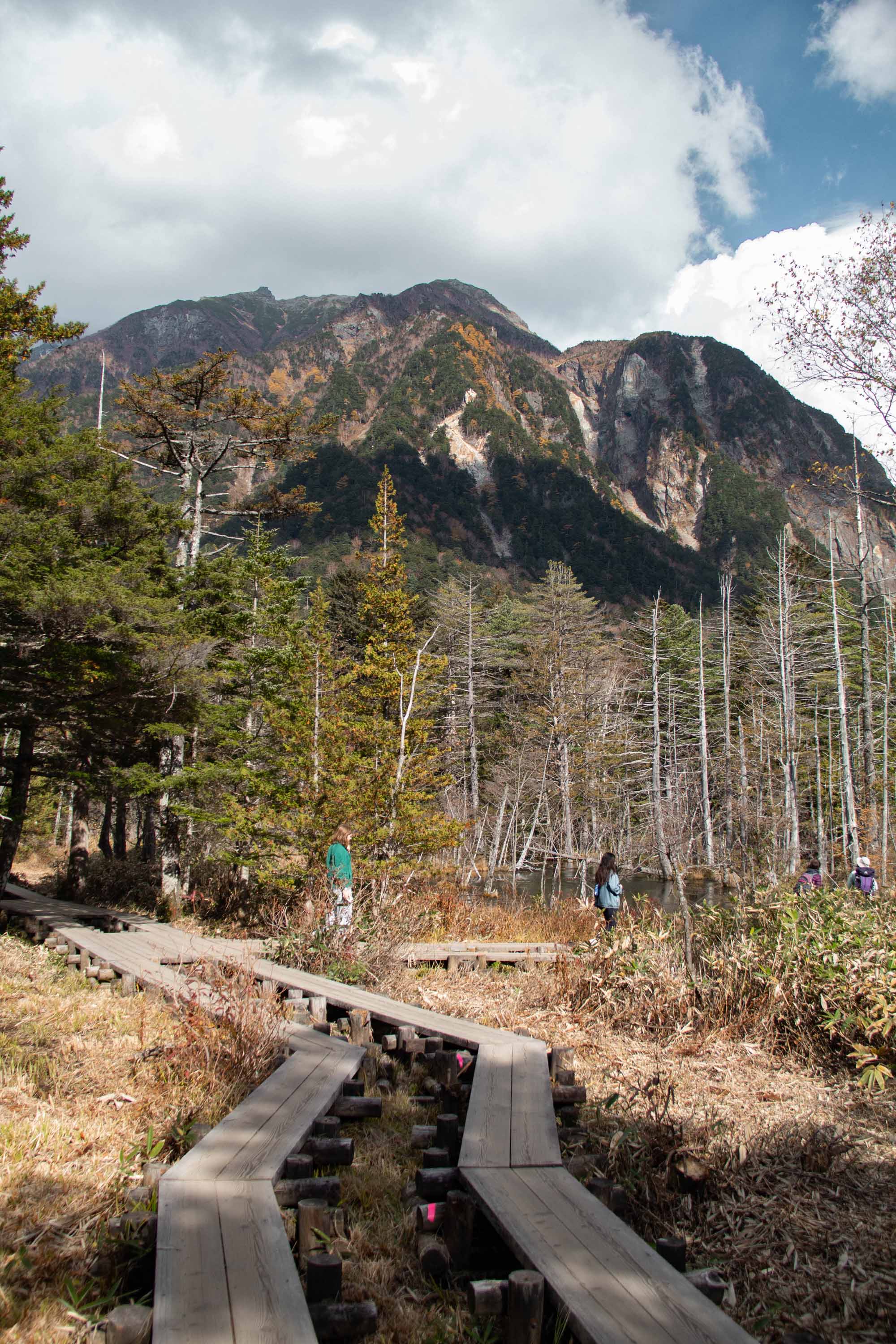 Description —— 2023