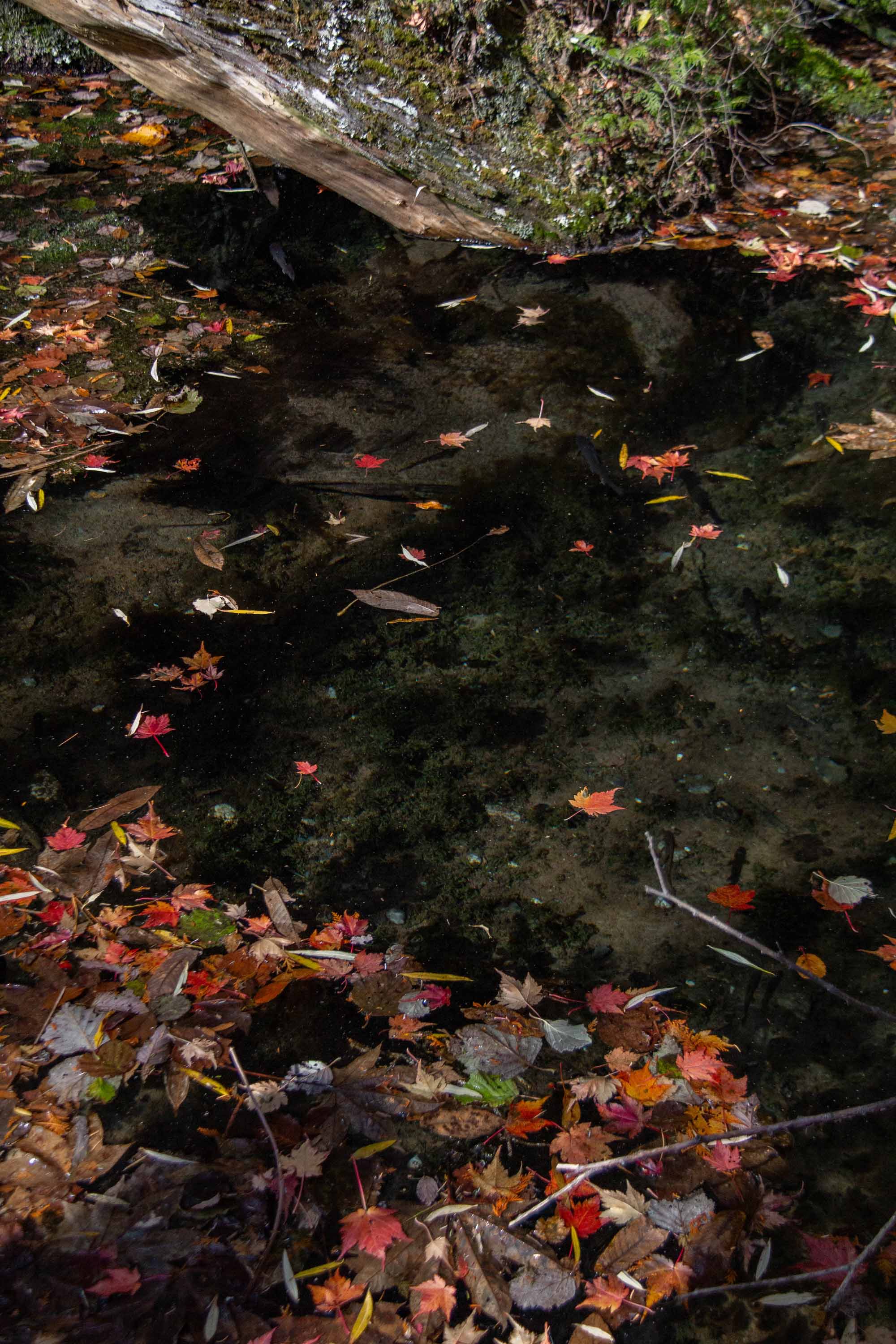 Kamikōchi —— 2023