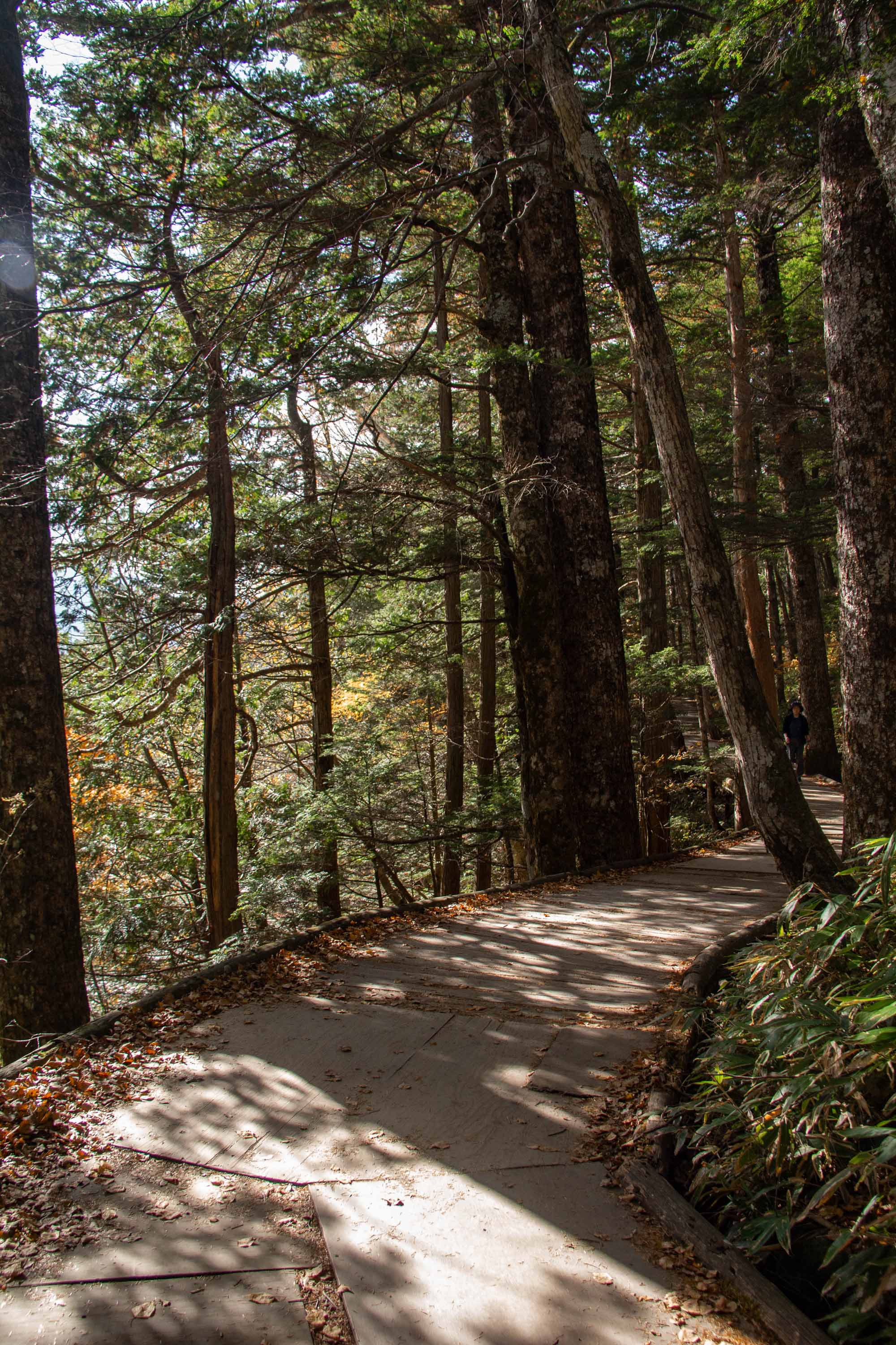 Kamikōchi —— 2023