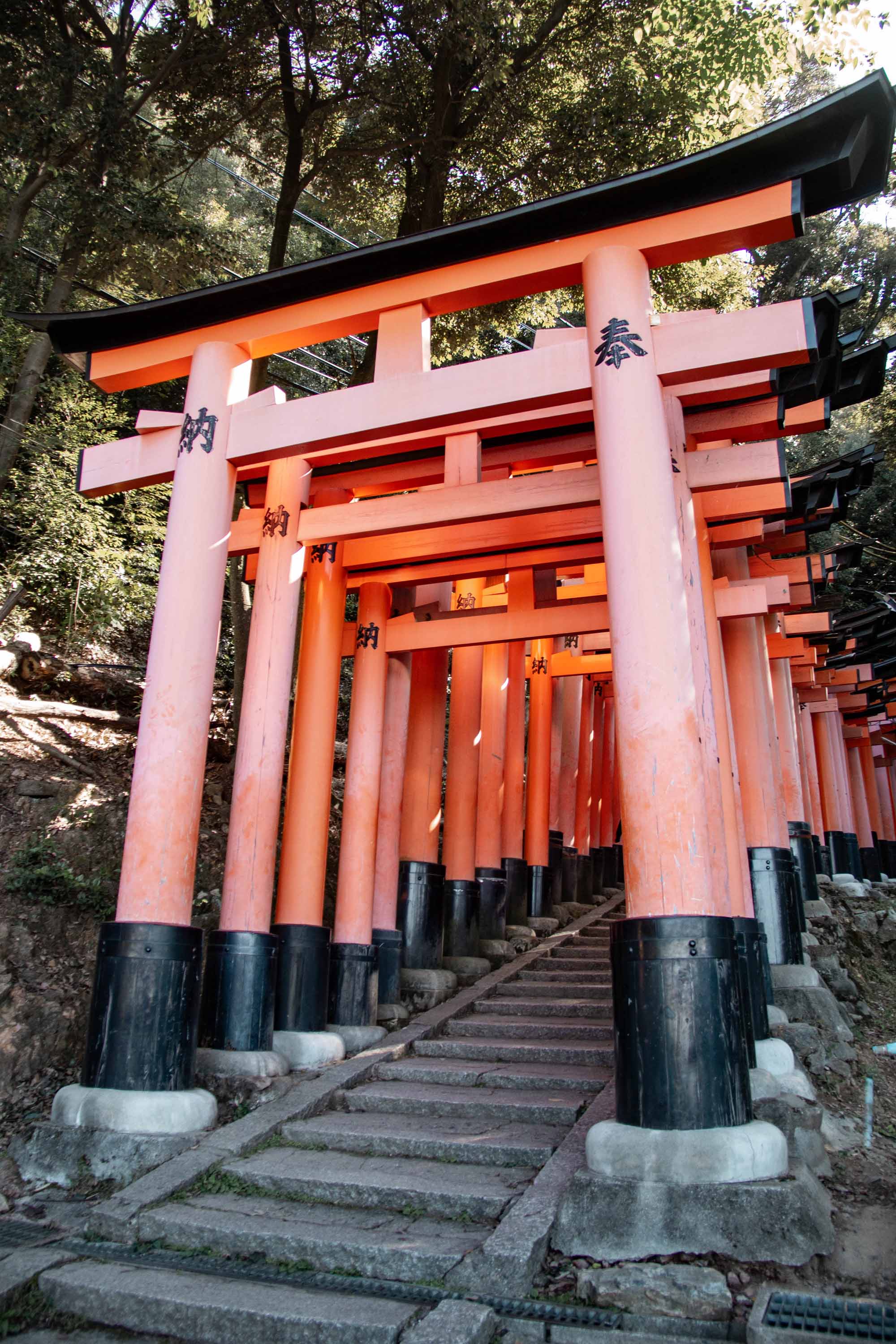 Fushimi Inari Shrine —— 2023