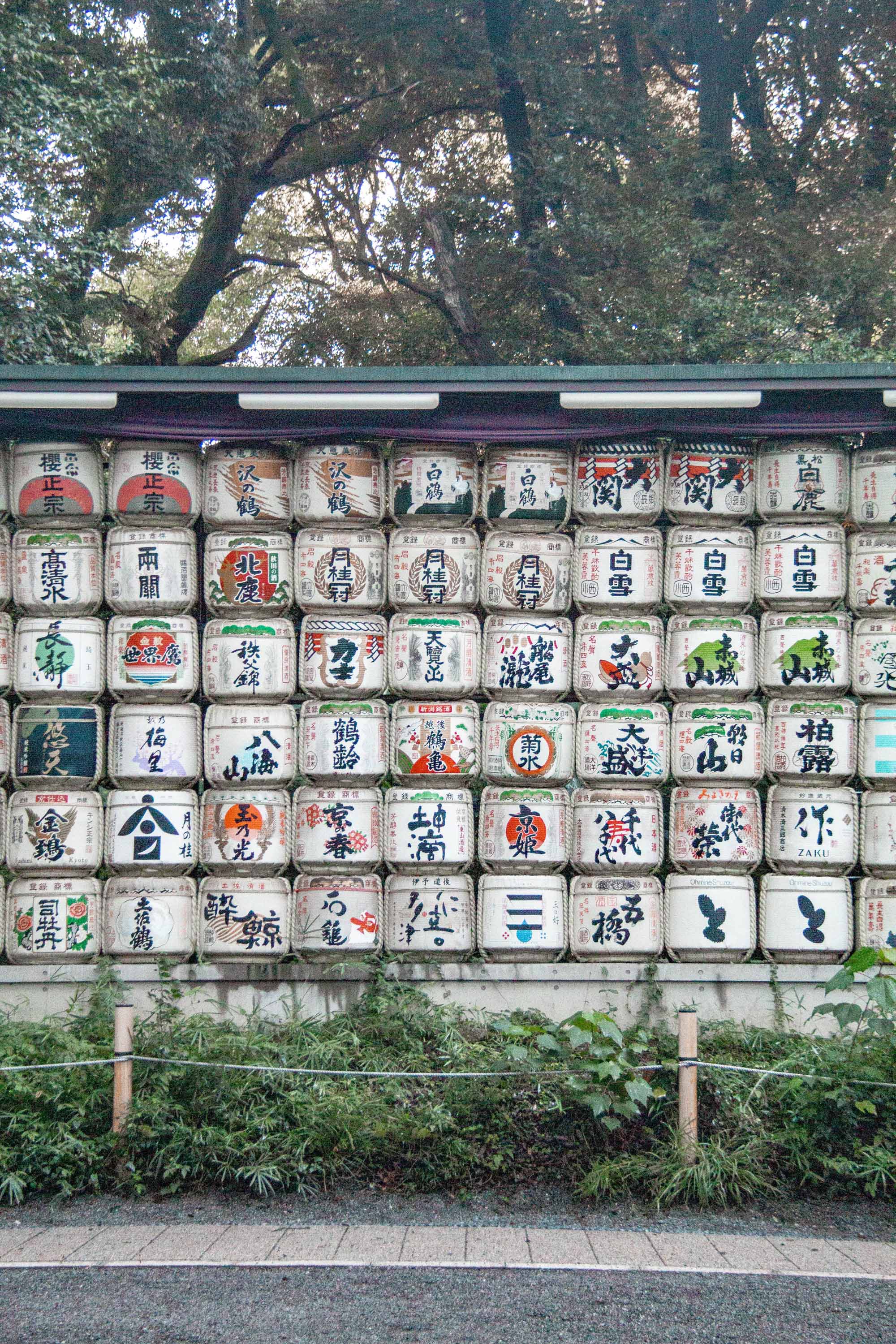 Meiji Jingu Shrine, Tokyo —— 2023