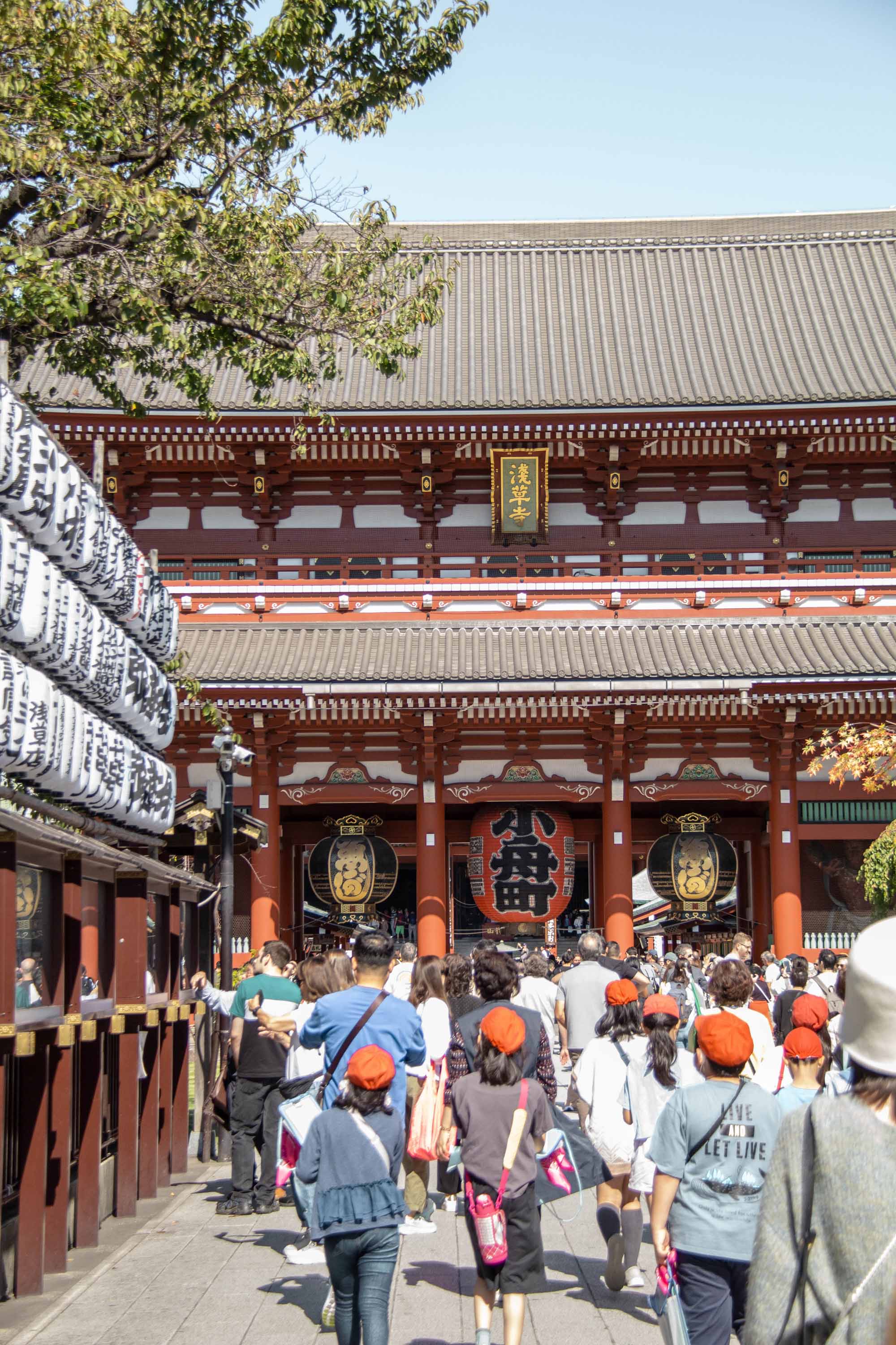 Description —— 2023