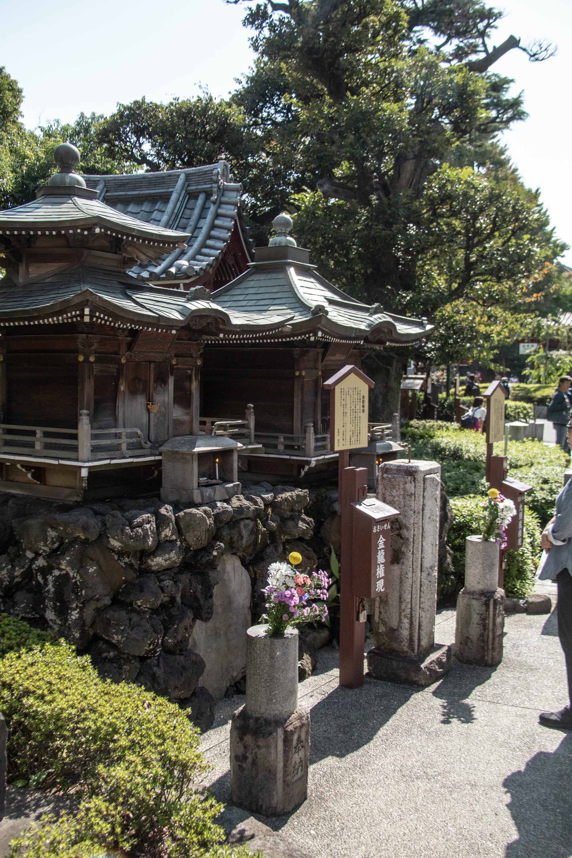 Description —— 2023