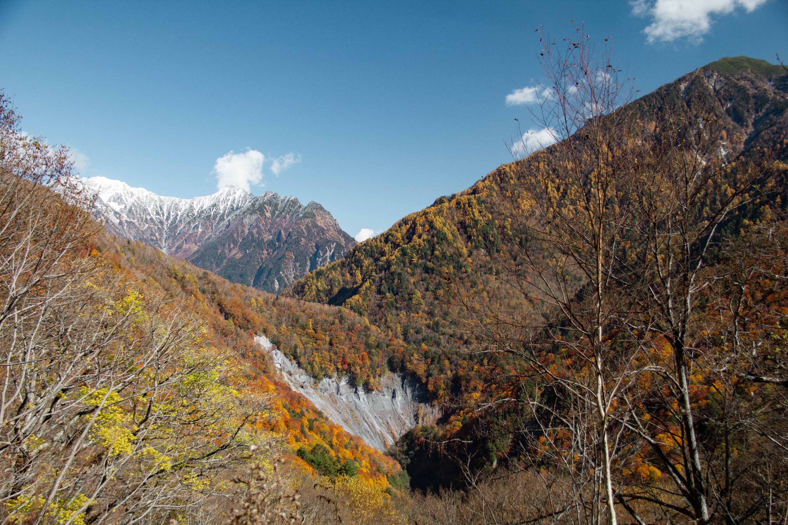 Description —— 2023