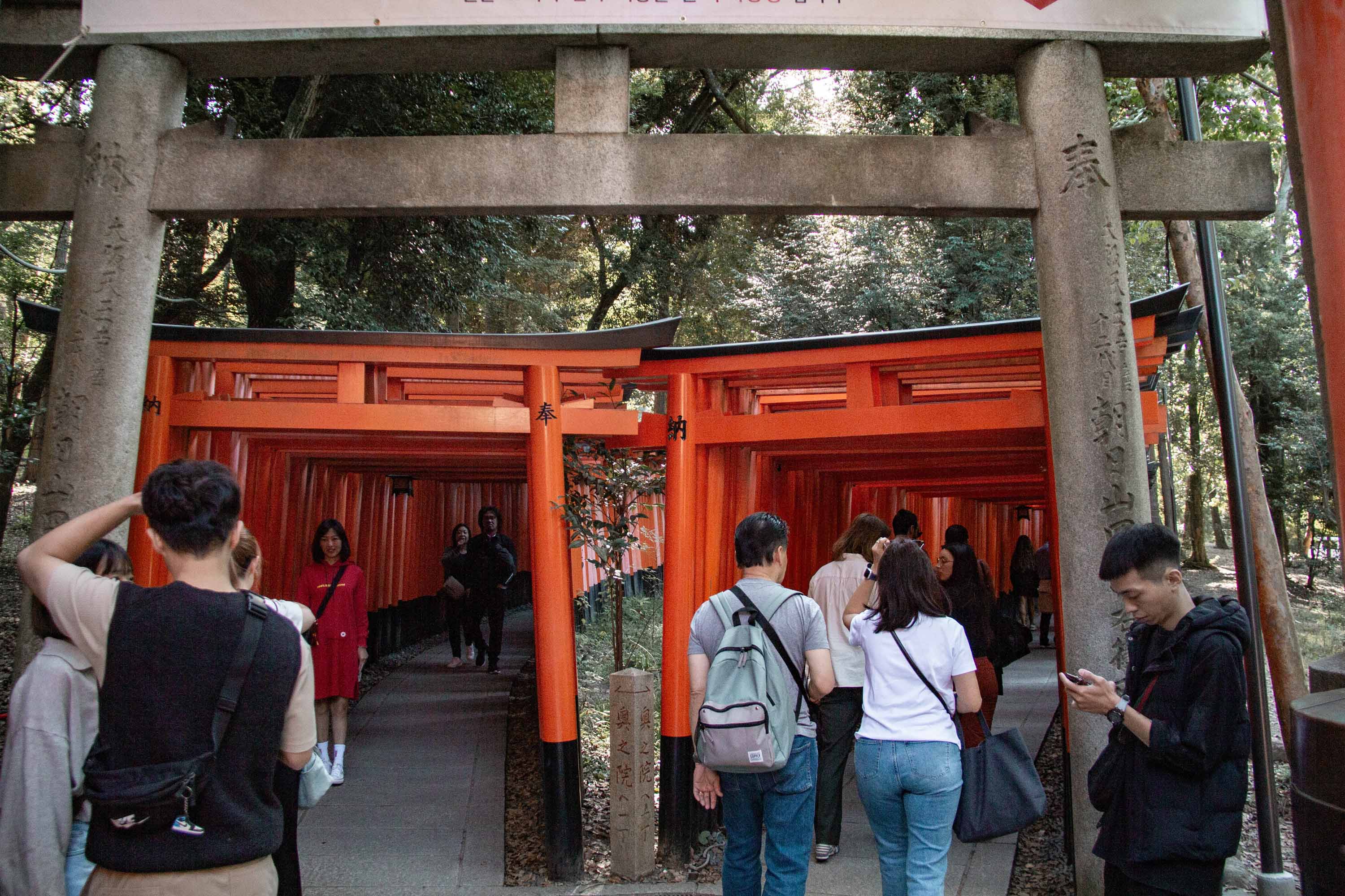 Description —— 2023