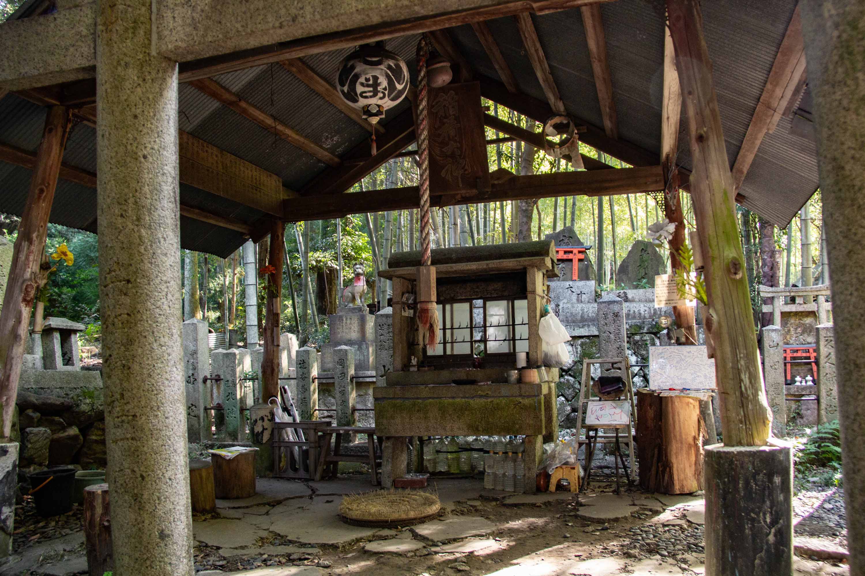 Description —— 2023