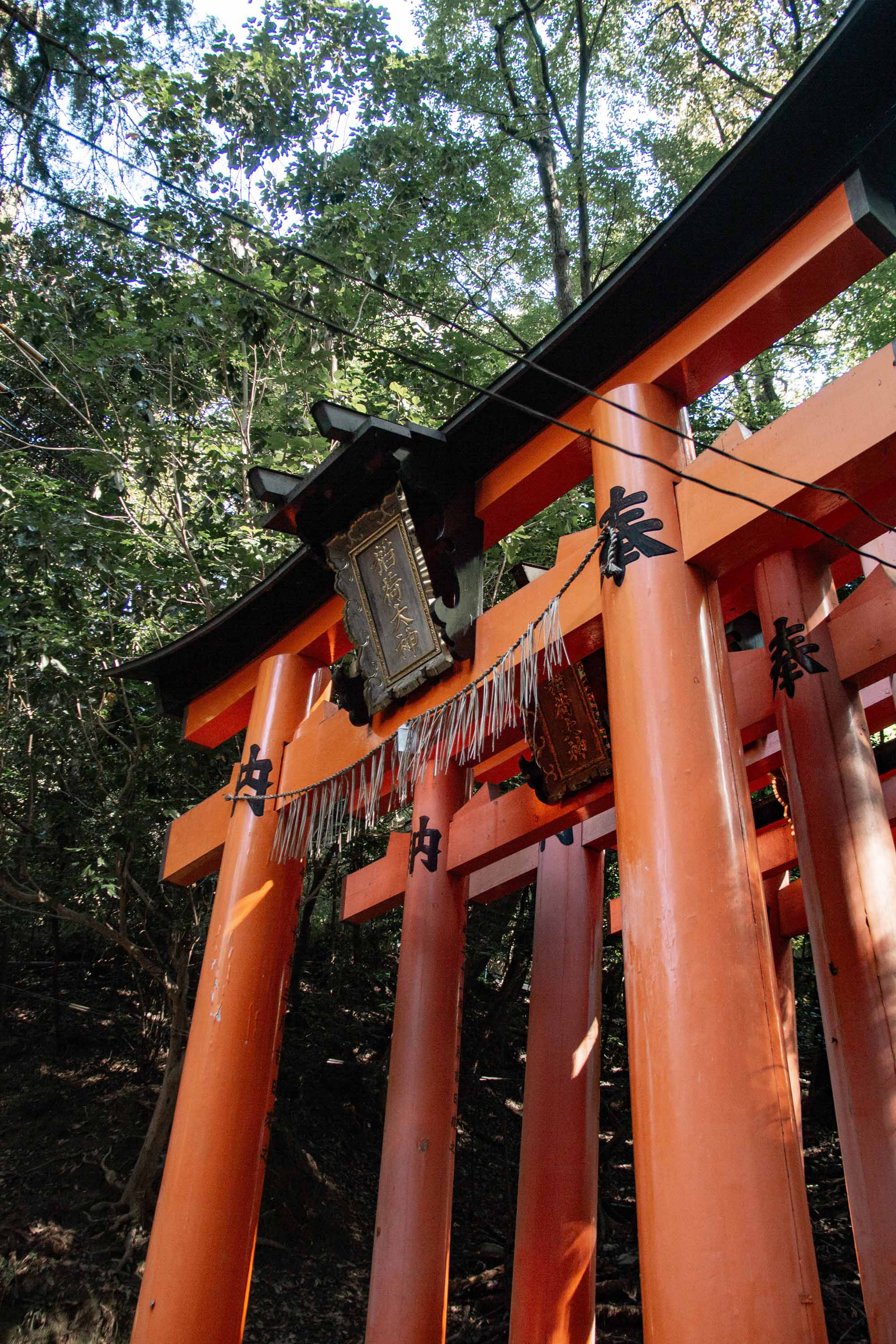 Description —— 2023