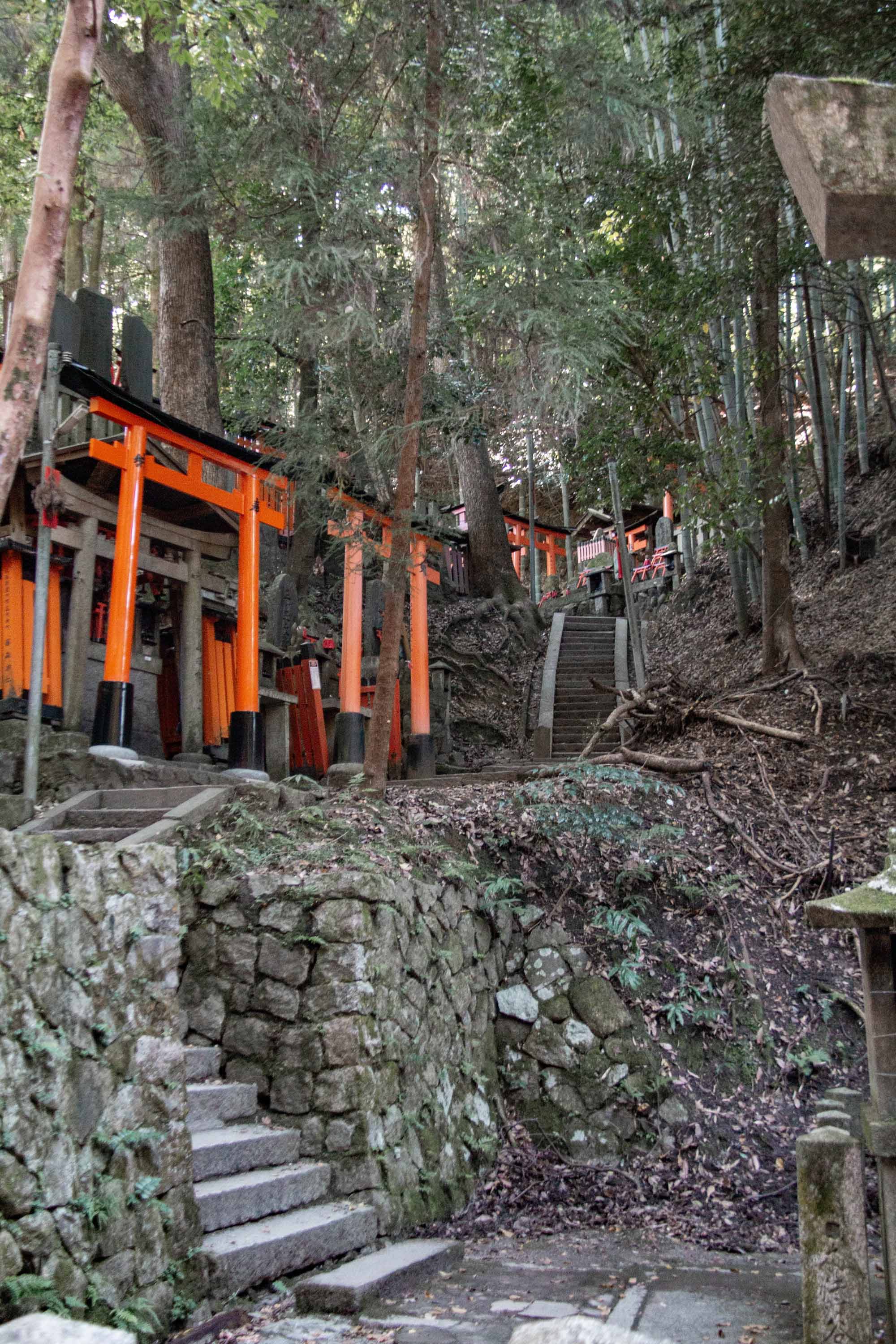 Description —— 2023