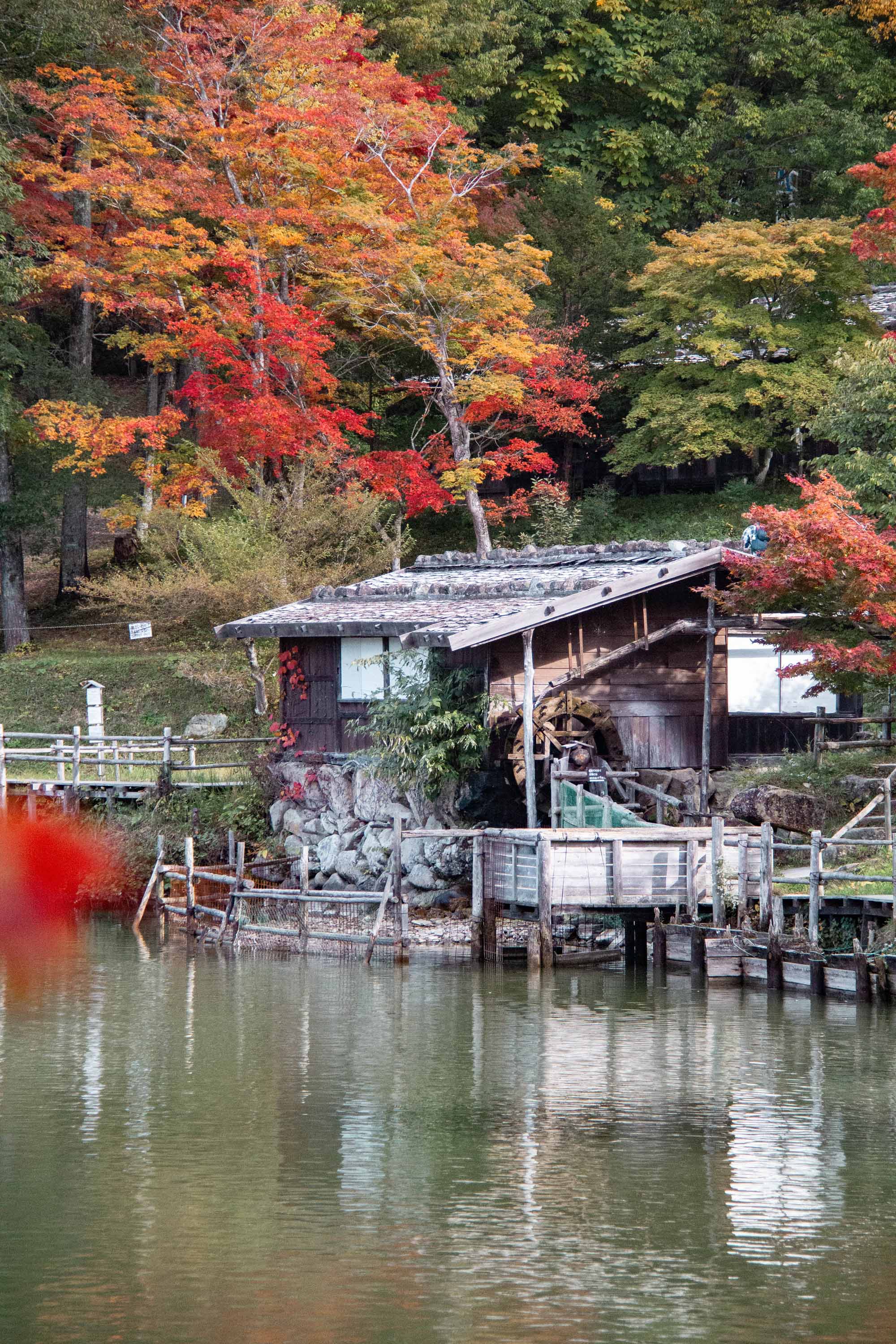 Description —— 2023