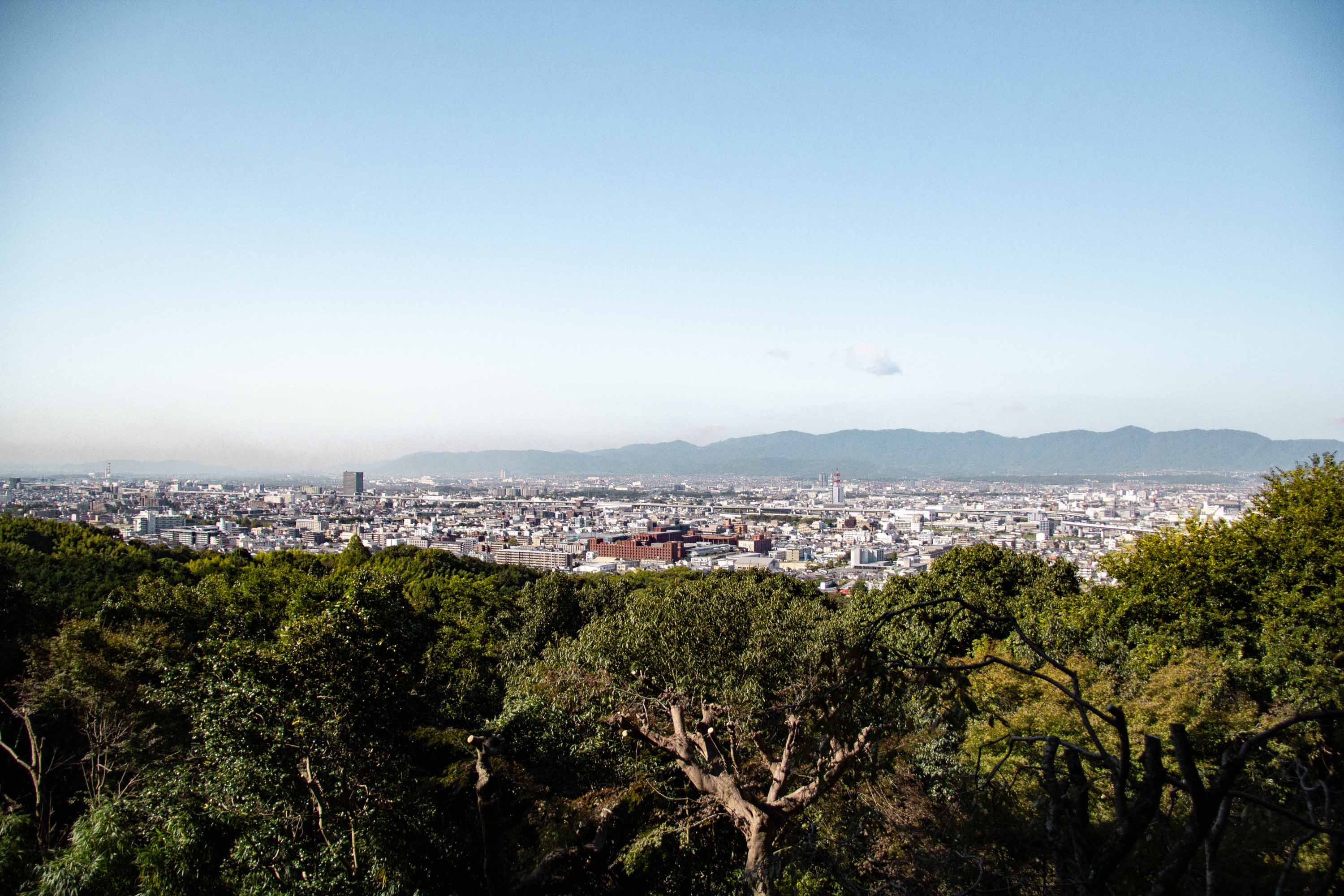 Description —— 2023