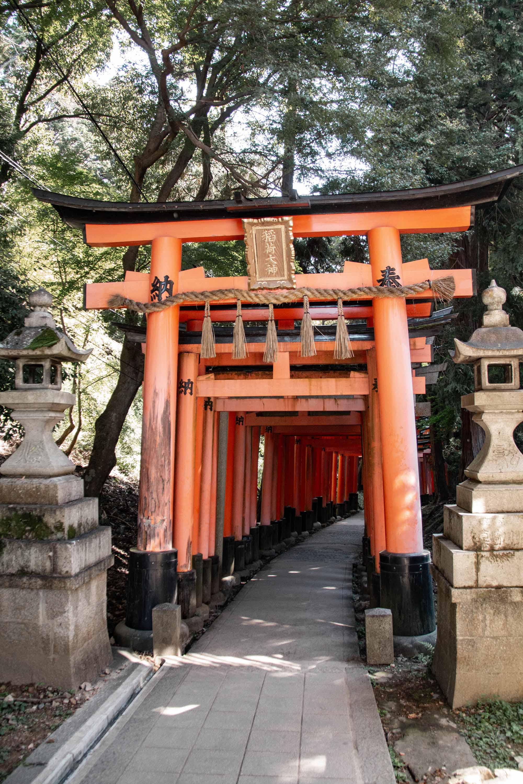 Description —— 2023