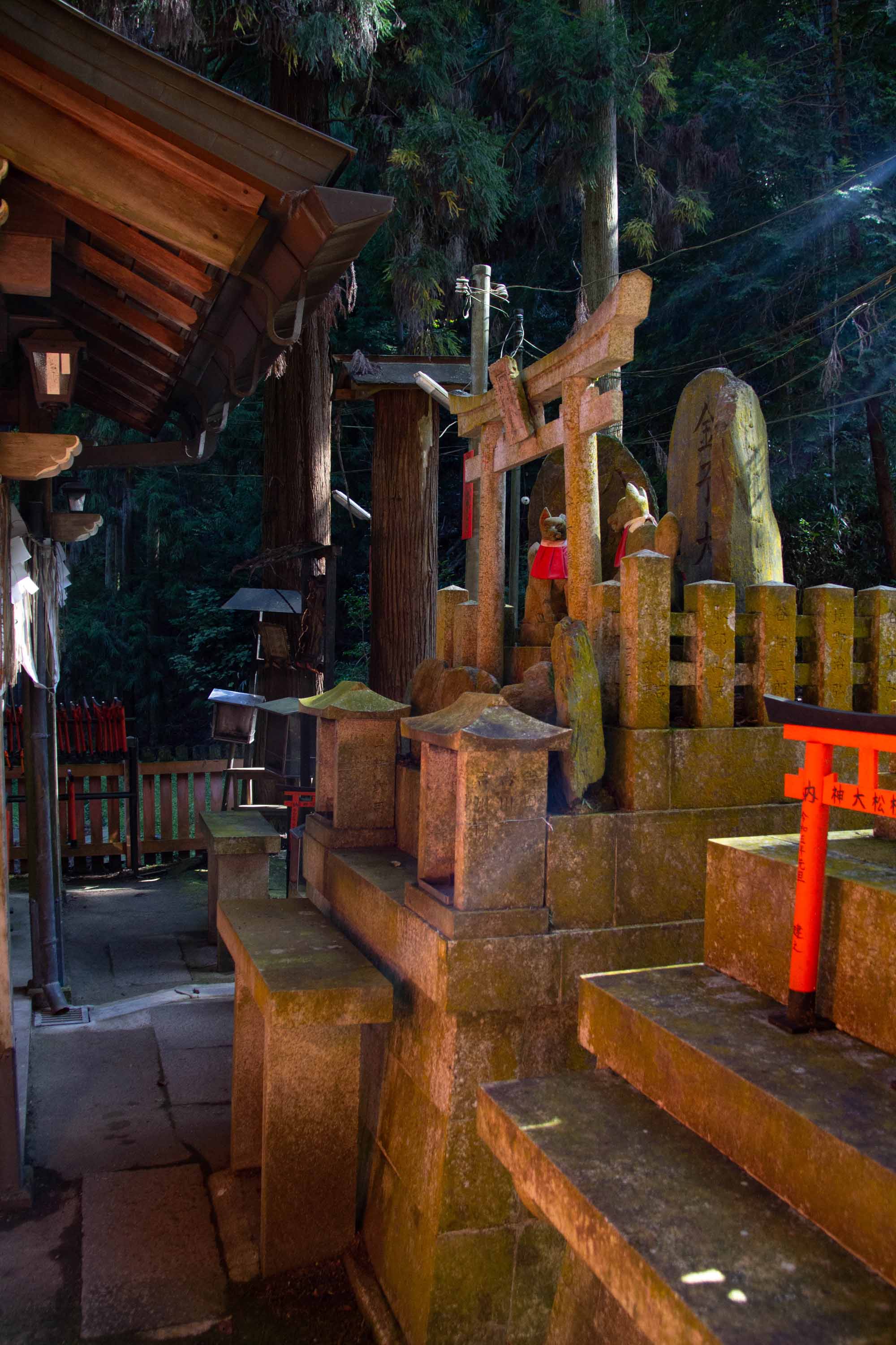 Description —— 2023