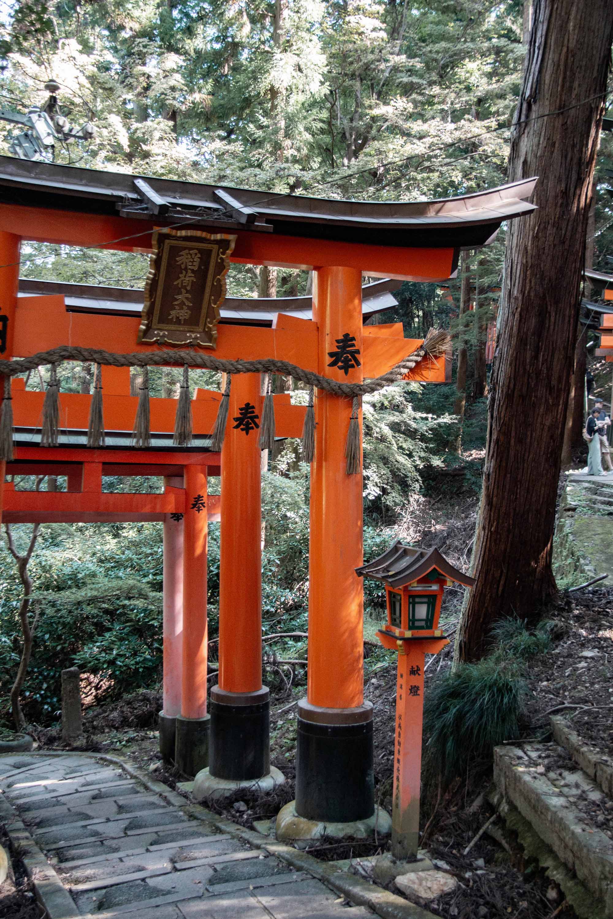 Description —— 2023