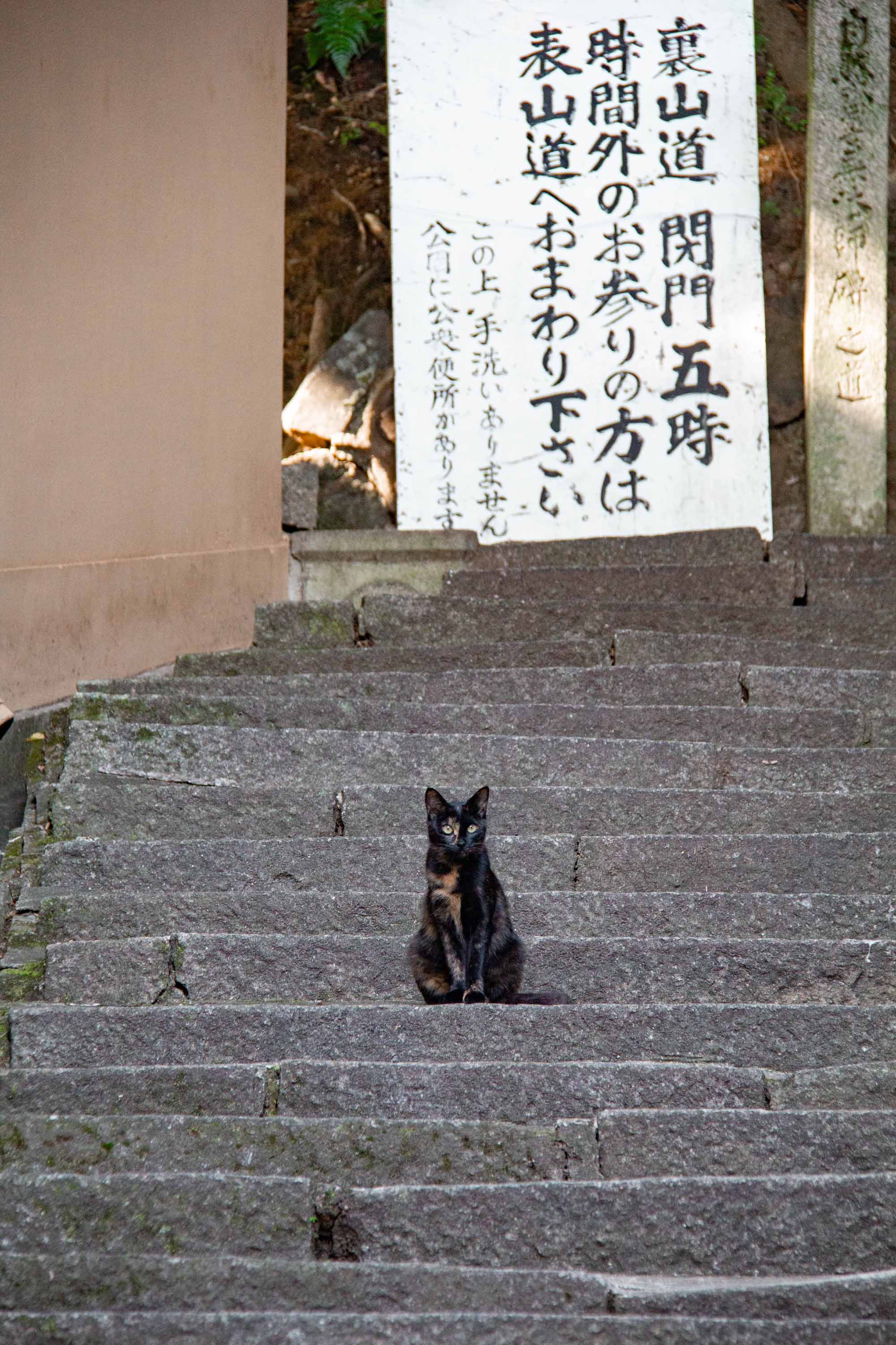 Description —— 2023