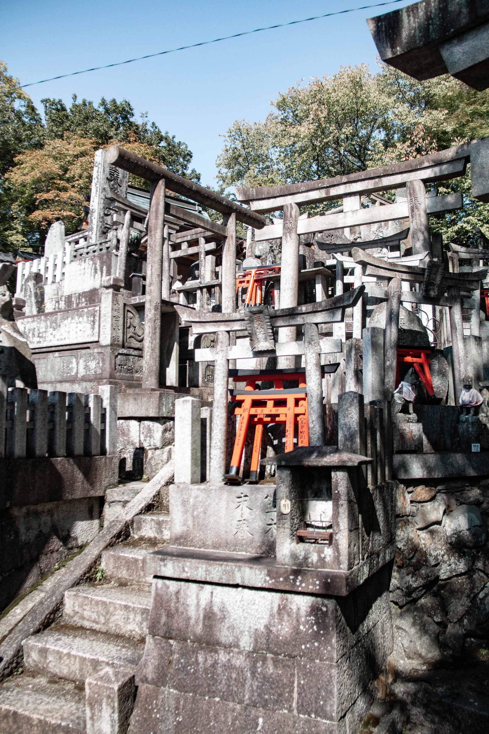 Description —— 2023