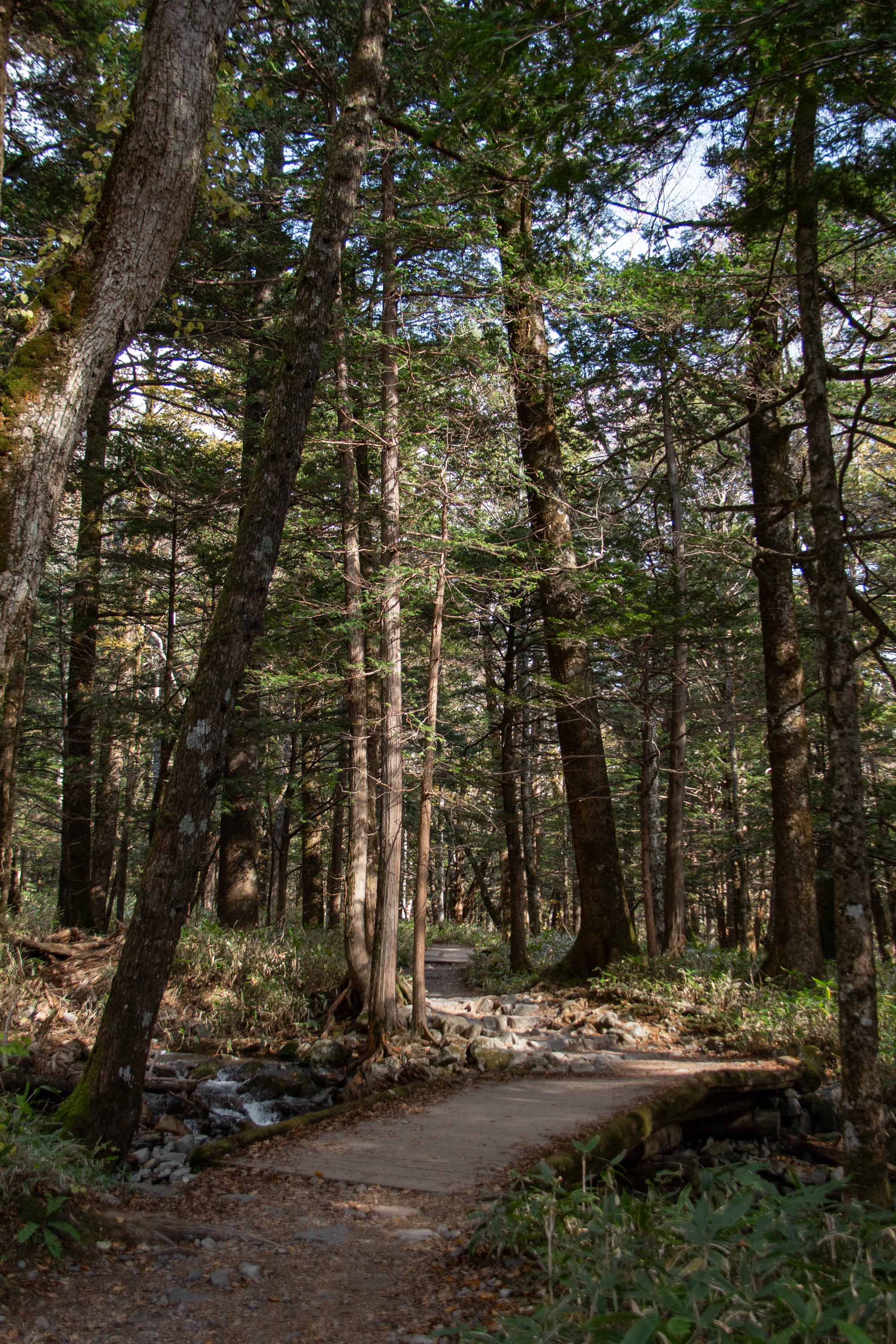 Description —— 2023