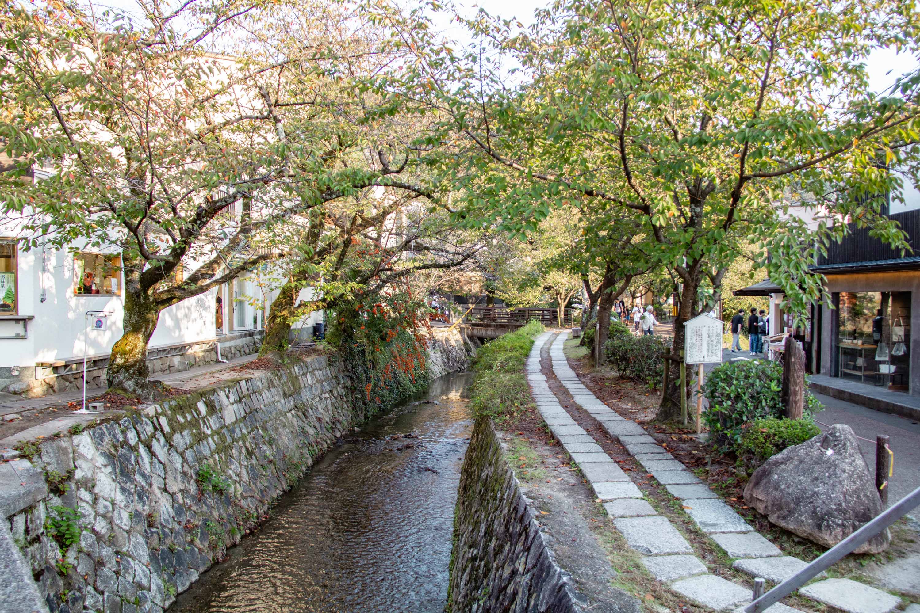 Description —— 2023