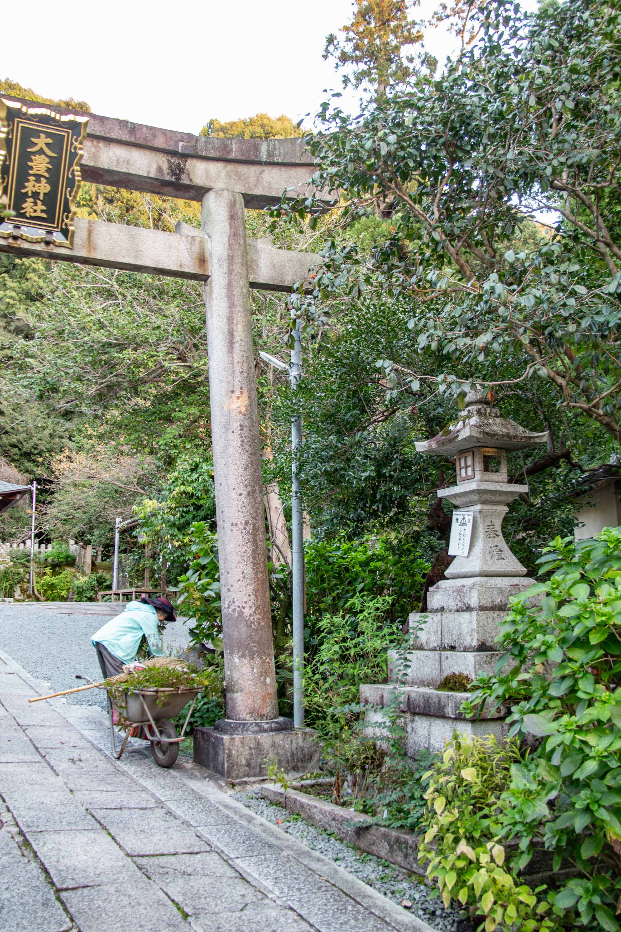 Description —— 2023