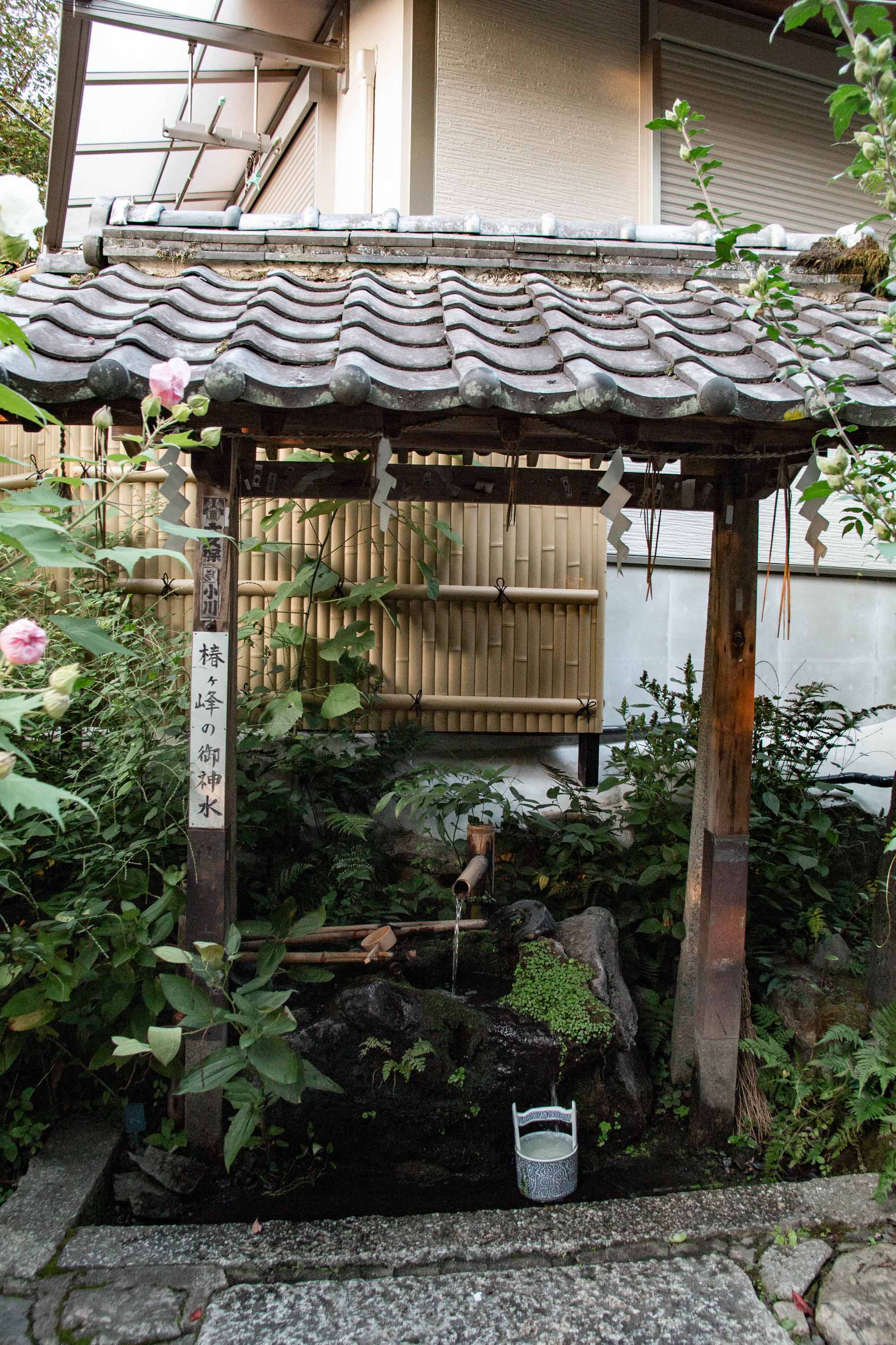 Description —— 2023