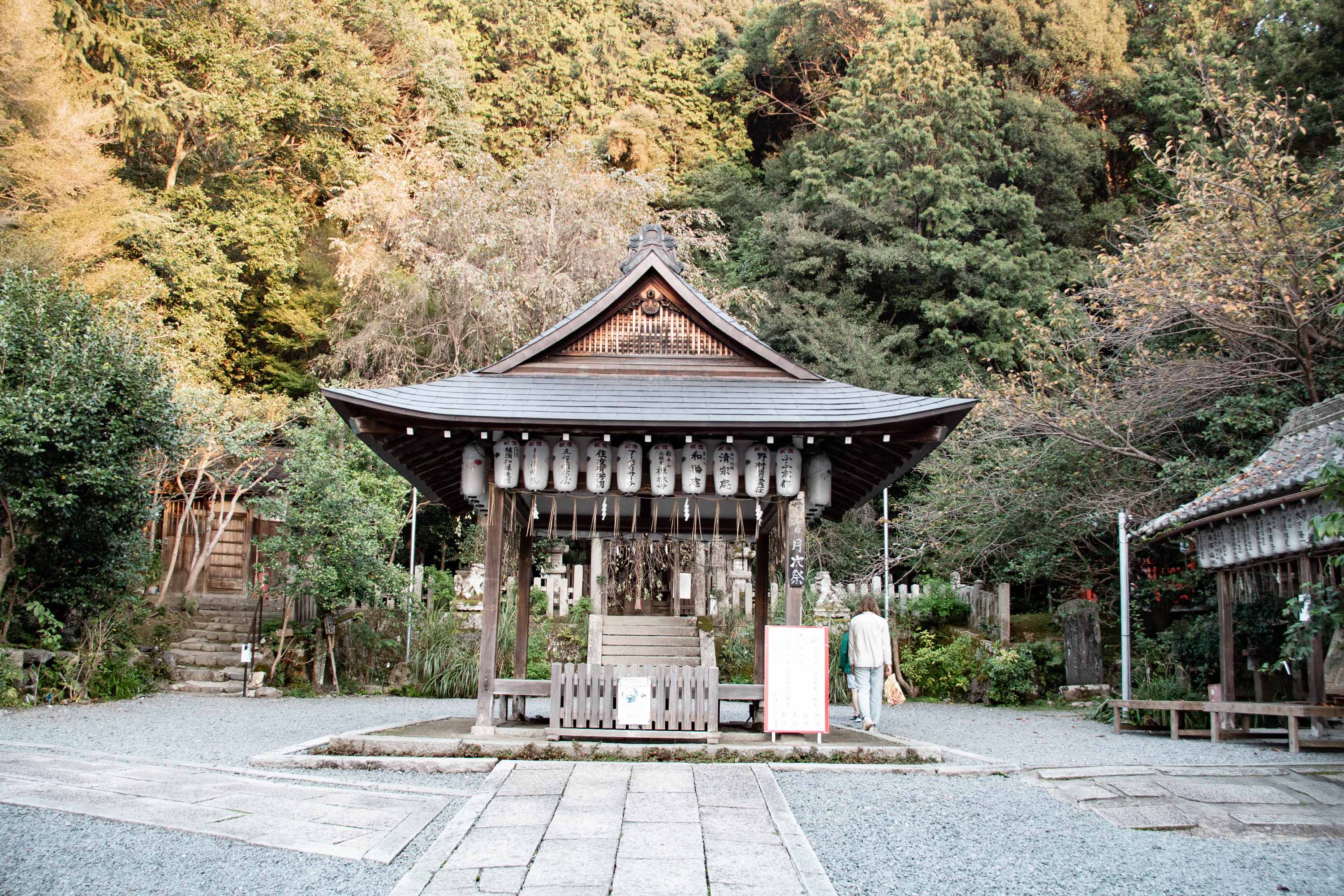 Description —— 2023