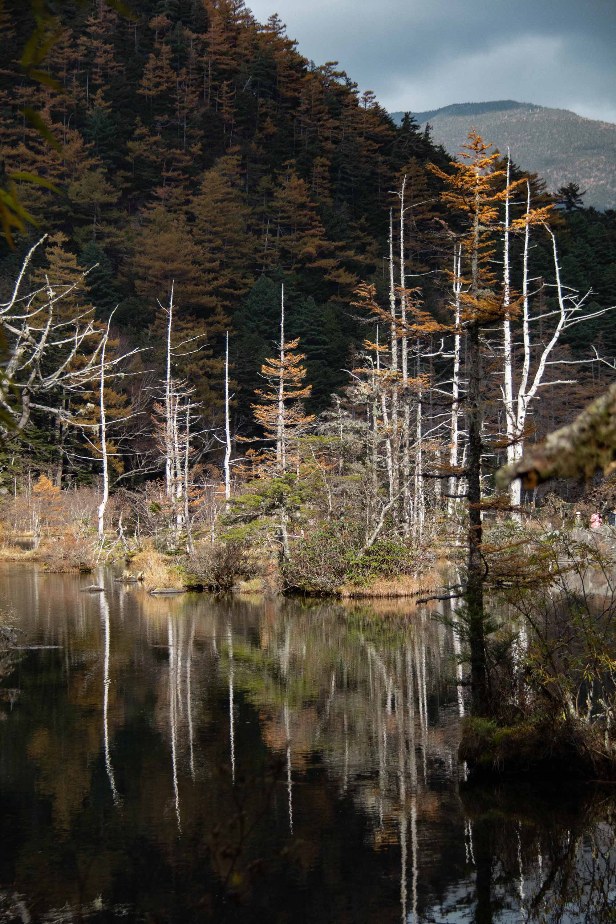 Description —— 2023