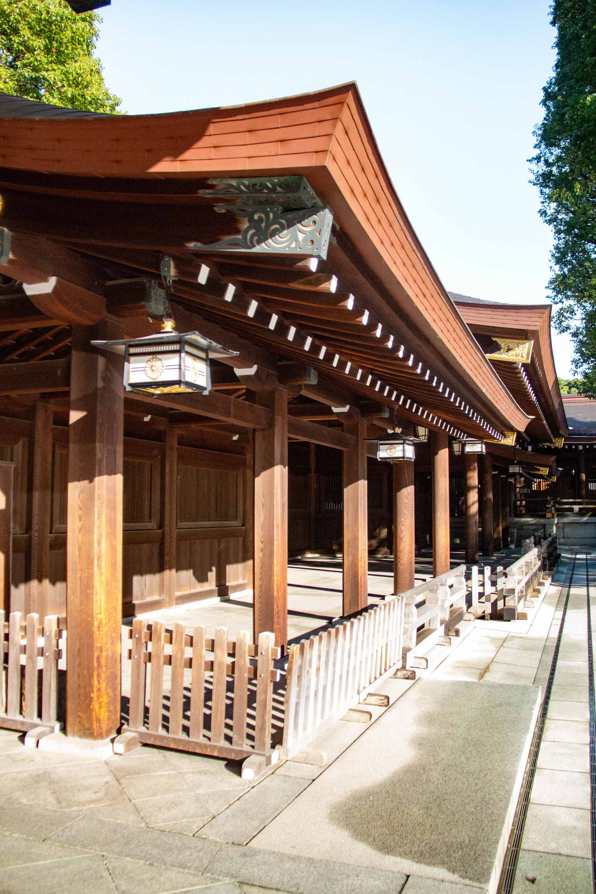 Meiji Jingu Shrine, Tokyo —— 2023