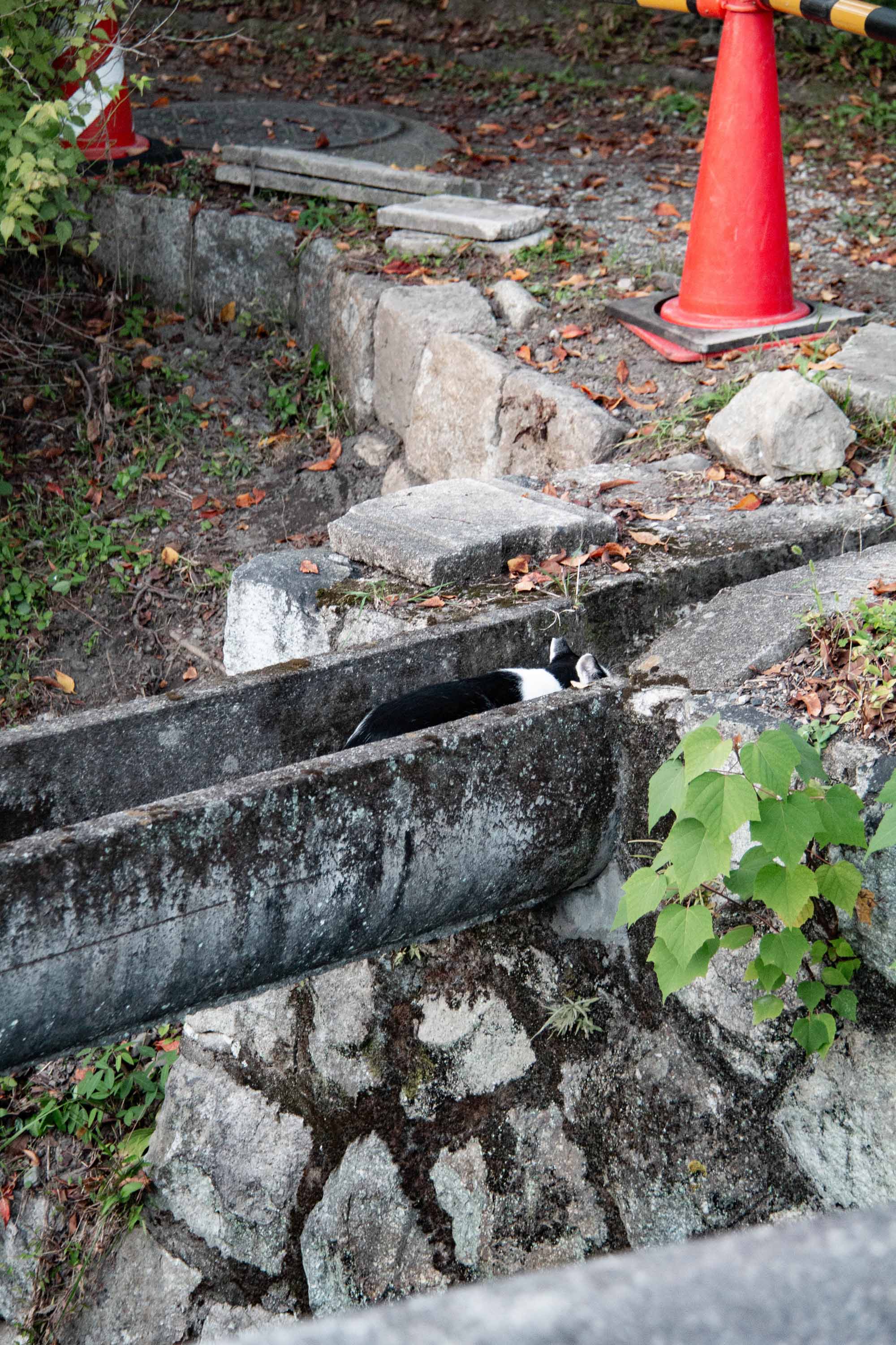 Description —— 2023