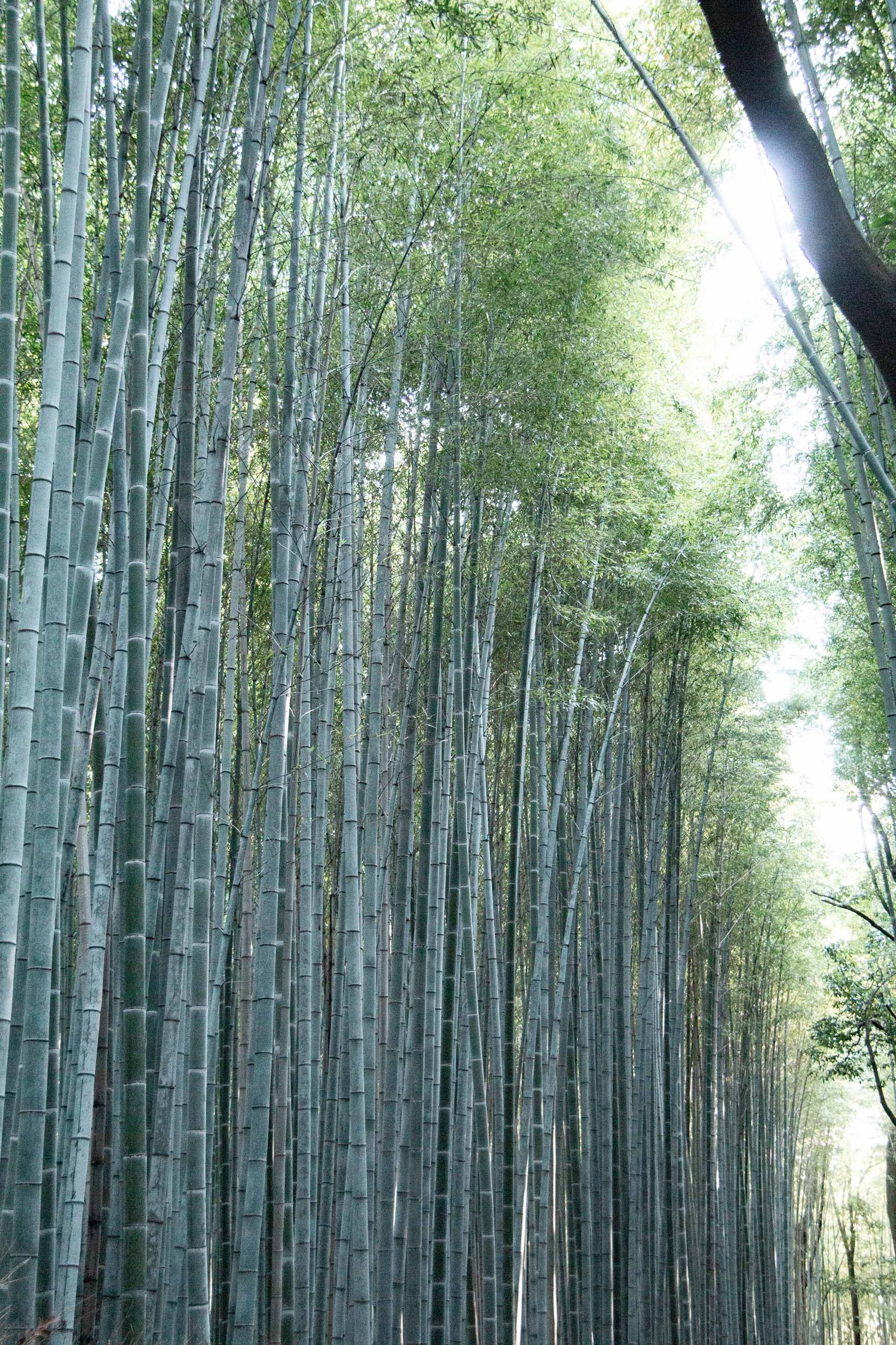 Description —— 2023