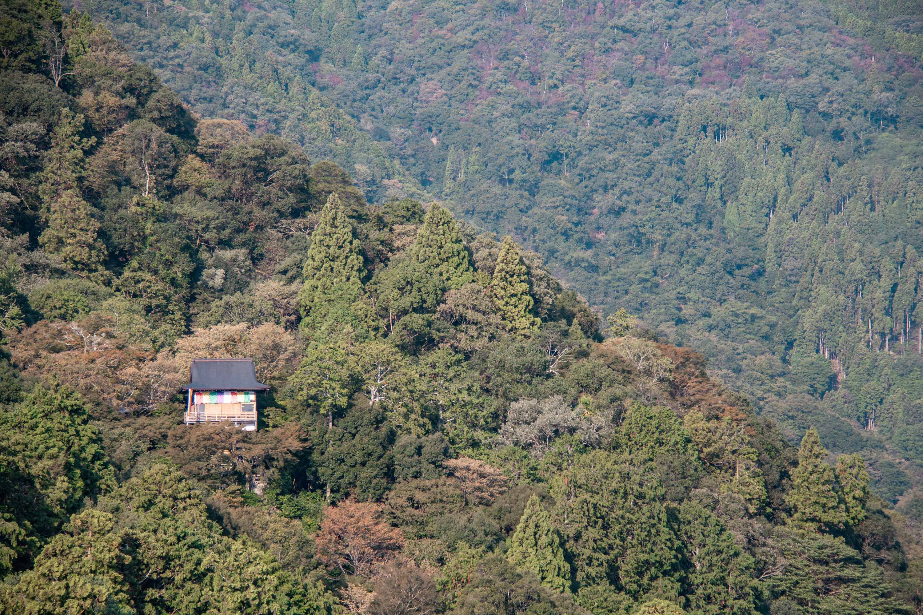 Description —— 2023