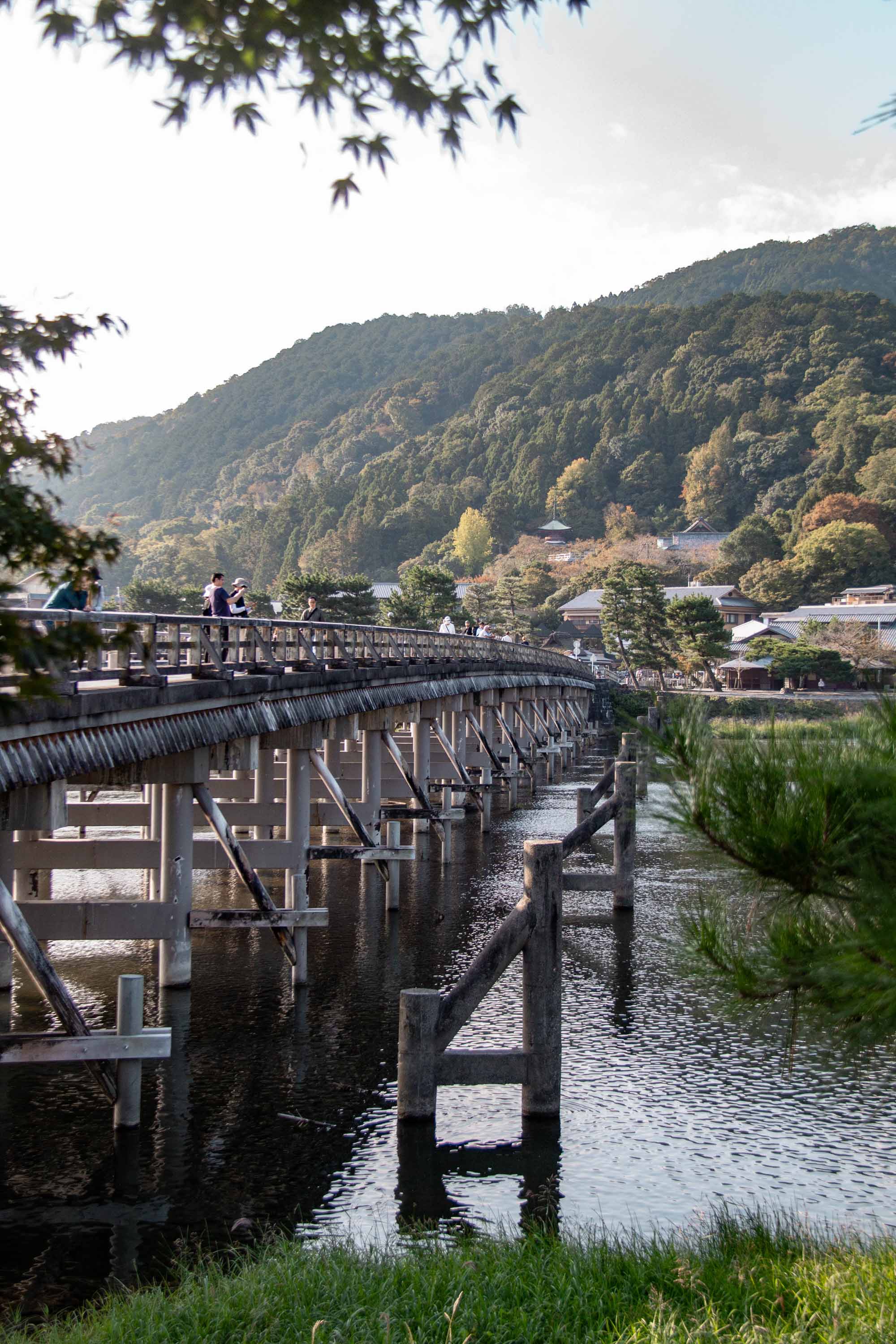 Description —— 2023