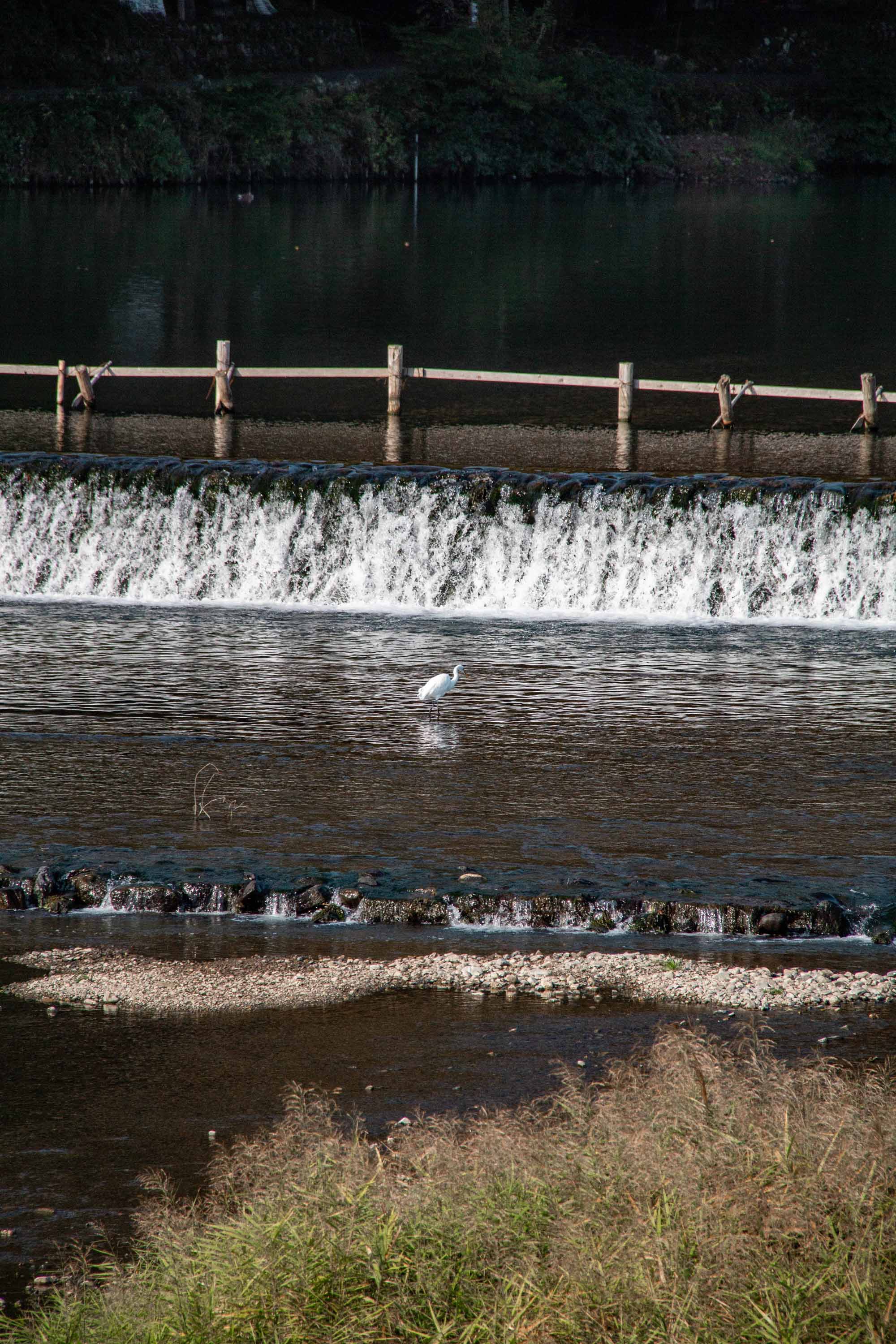 Description —— 2023