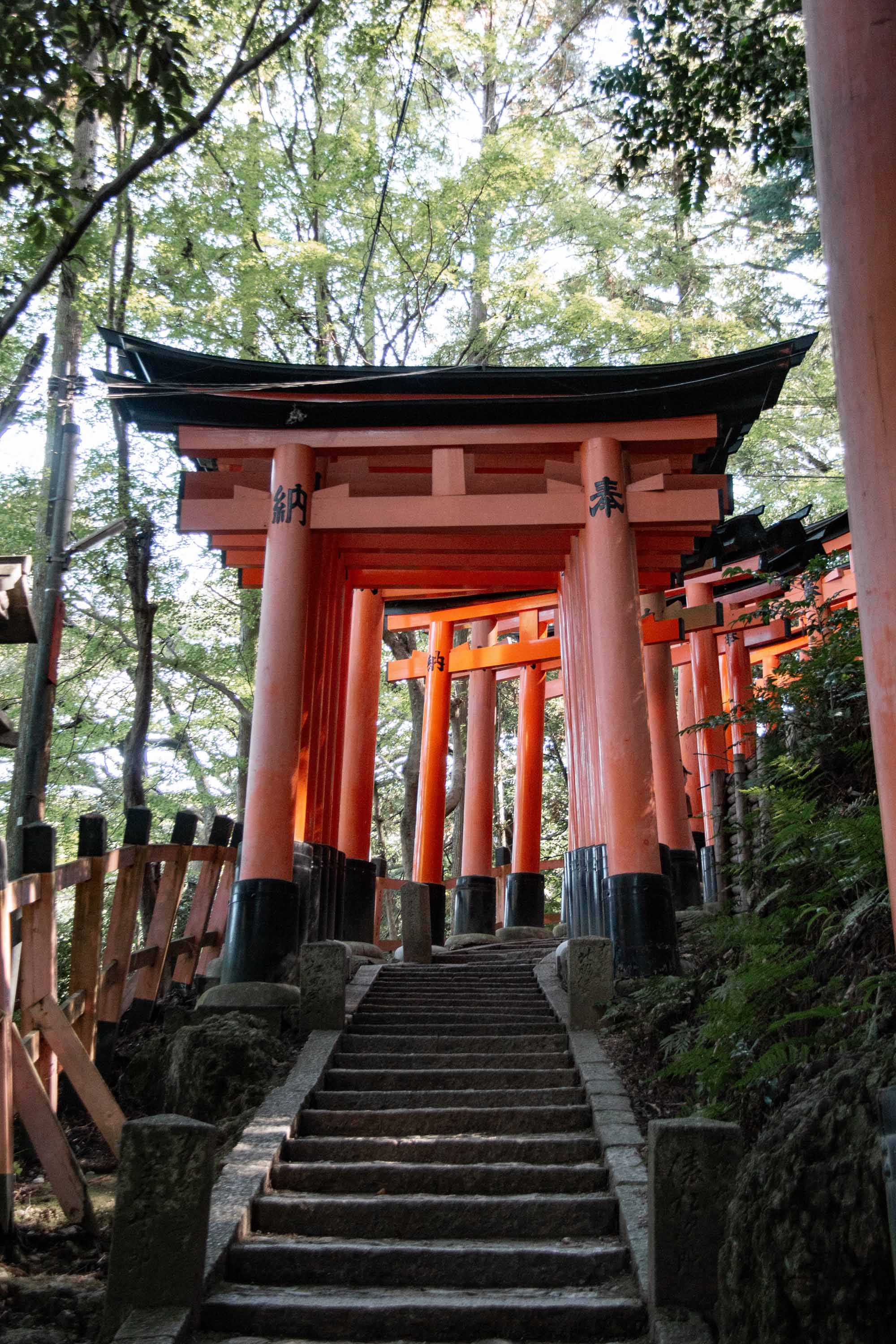 Description —— 2023