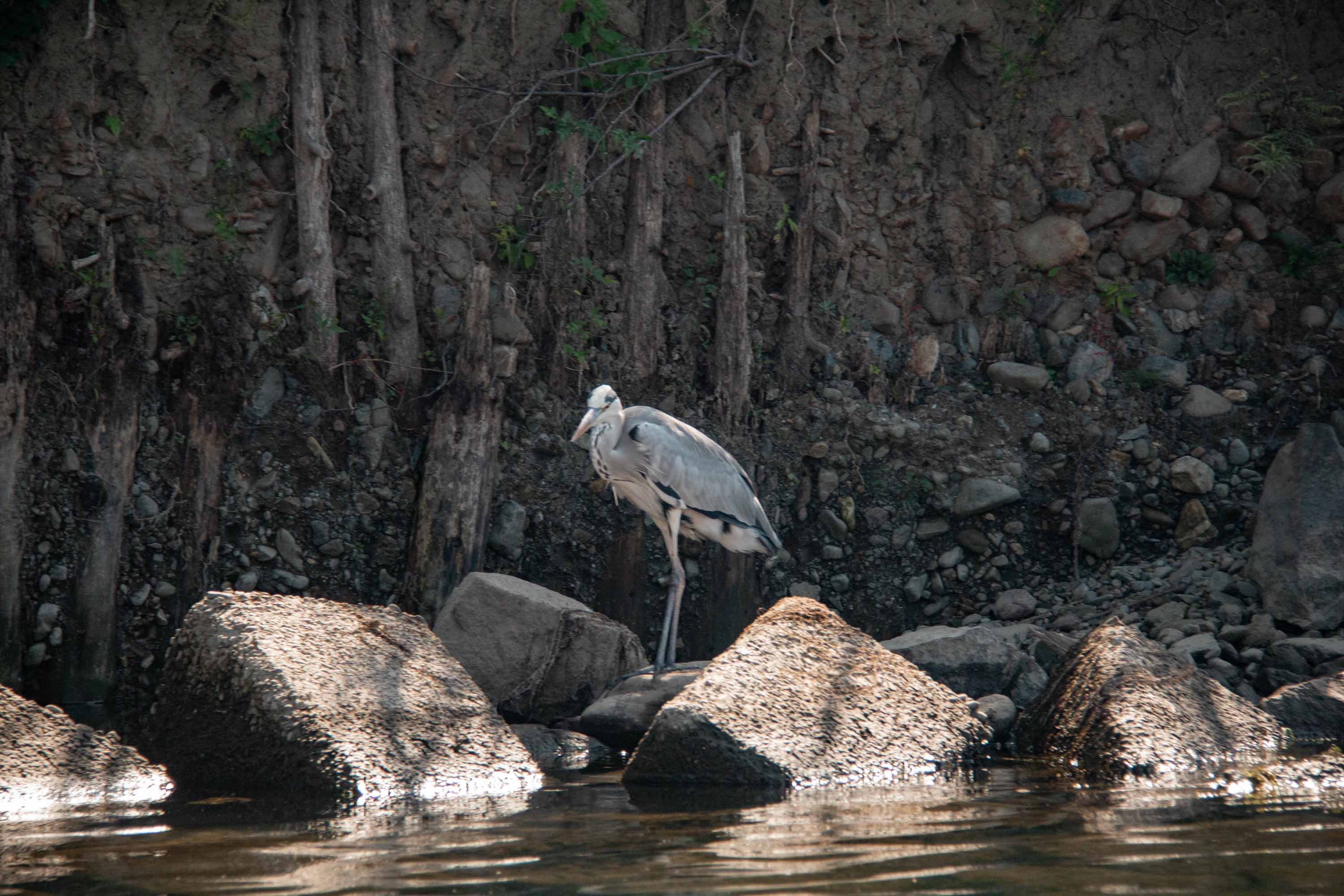 Description —— 2023