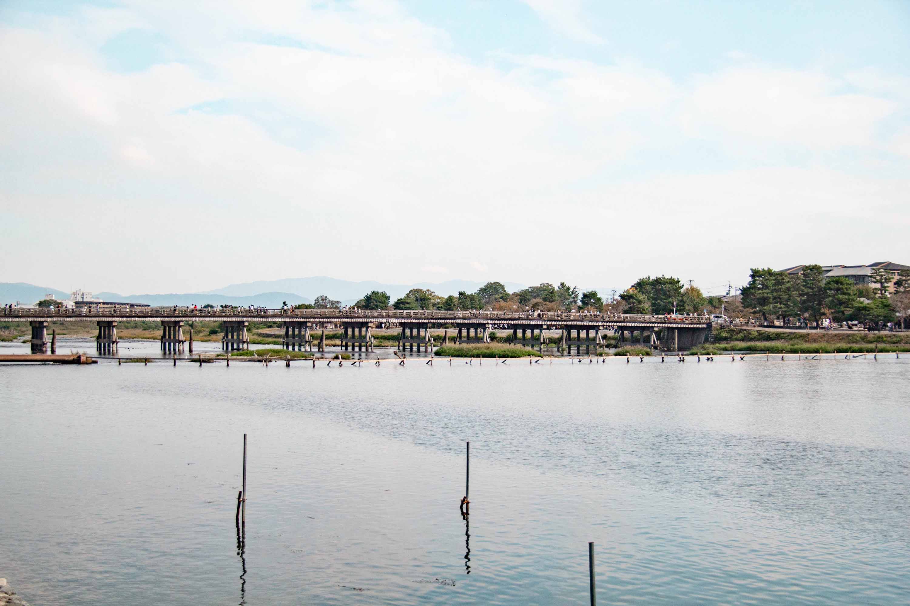 Description —— 2023