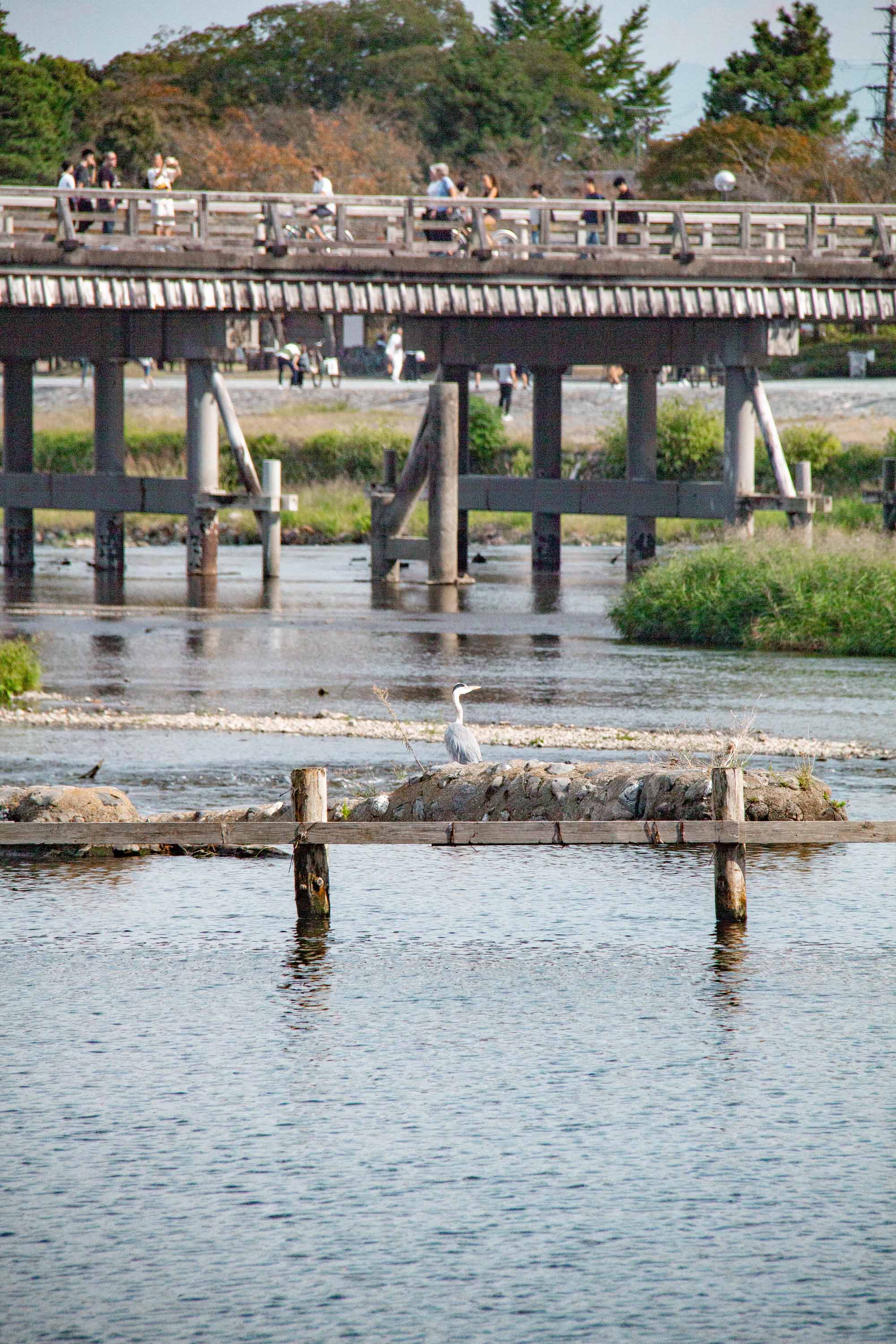 Description —— 2023