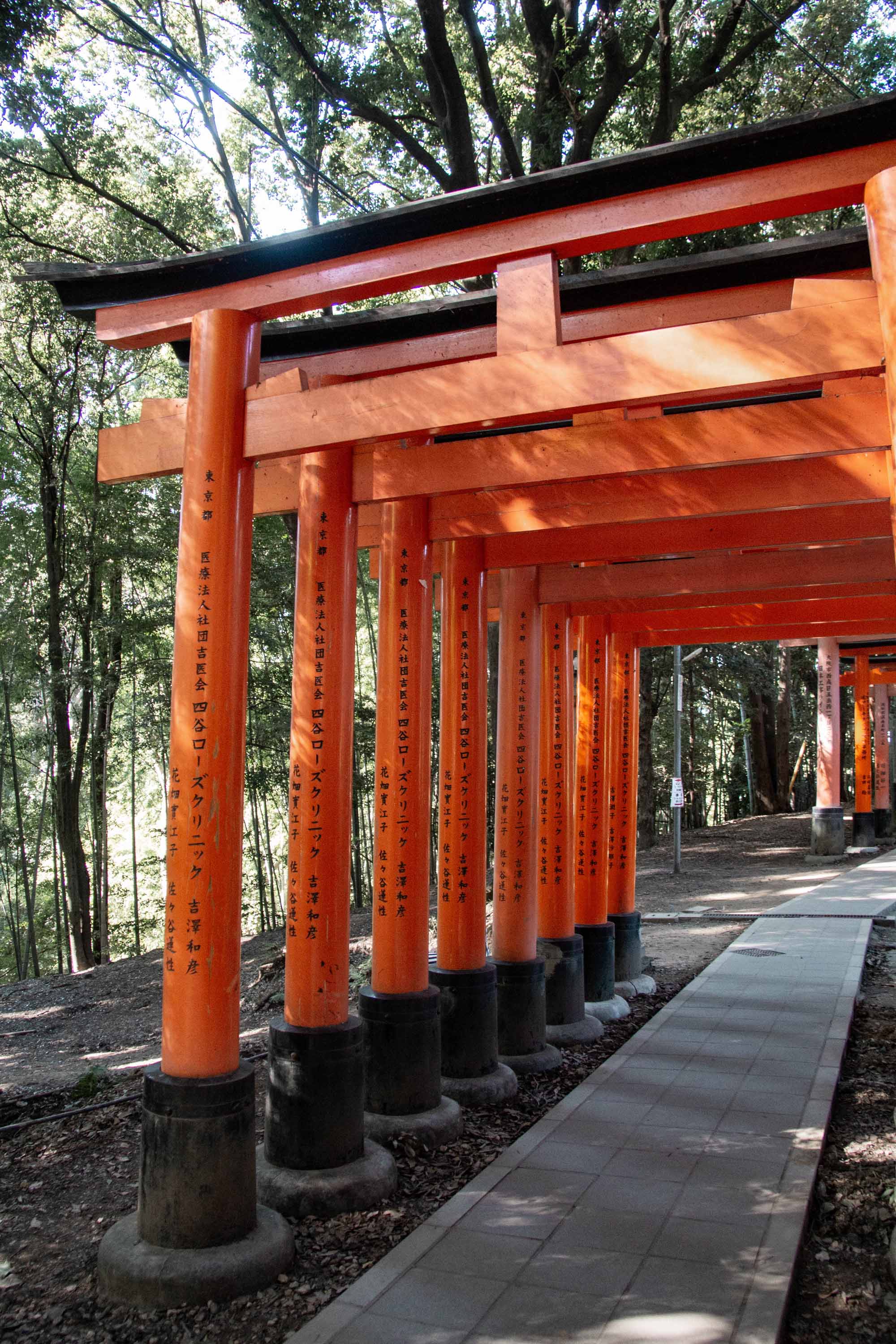 Description —— 2023