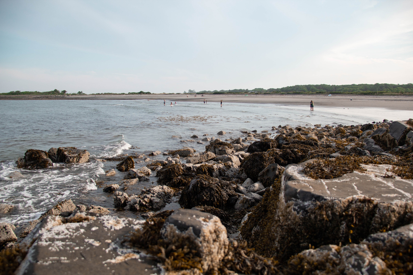 Seapoint Beach —— 2020