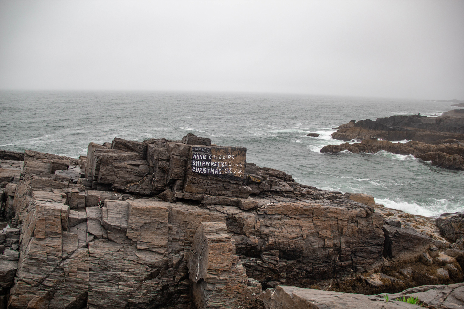 Shipwreck Sign —— 2020