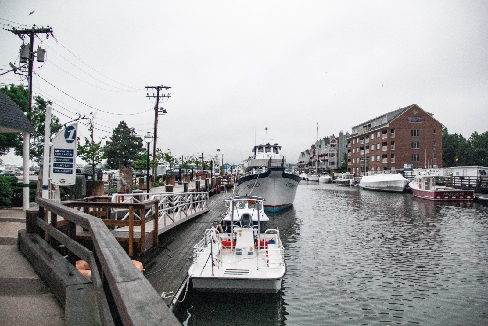 Portland, ME —— 2020