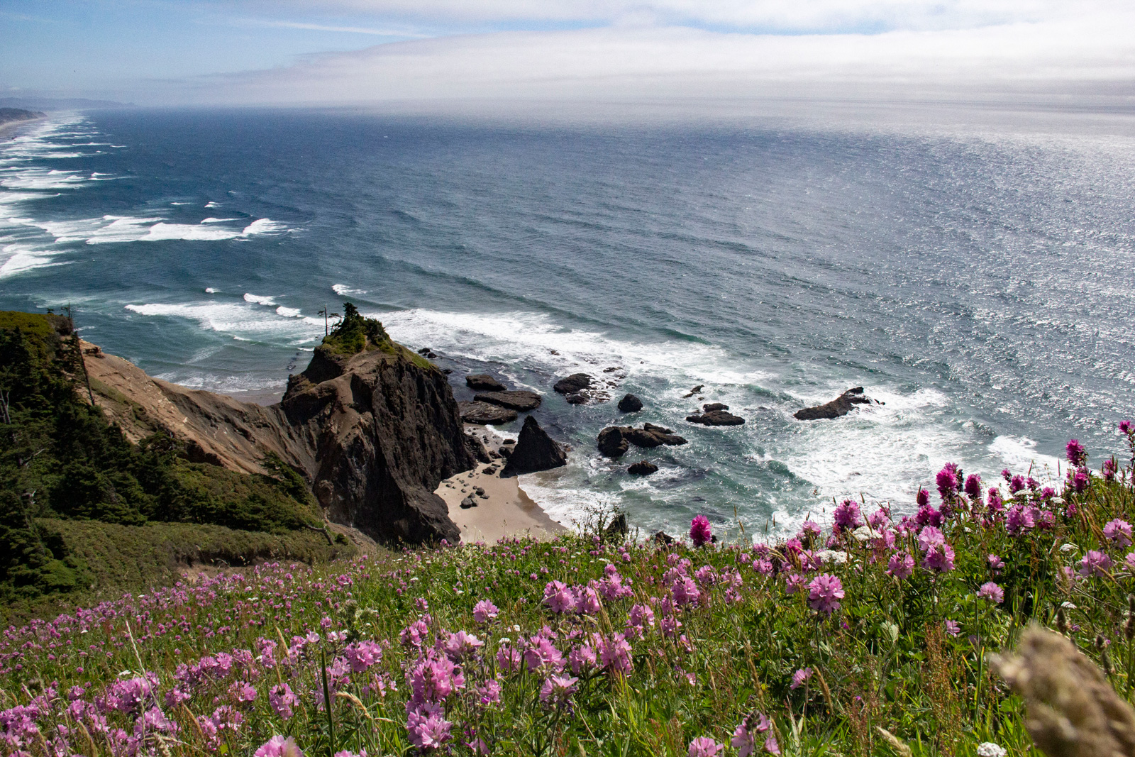 Oregon Coast —— 2019