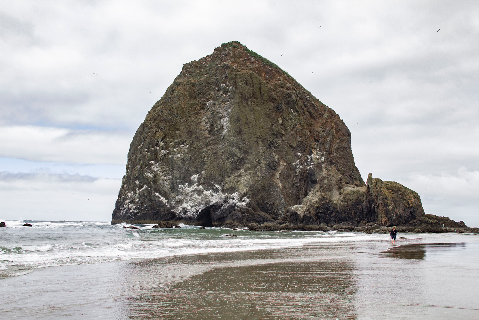 Haystack Rock —— 2019
